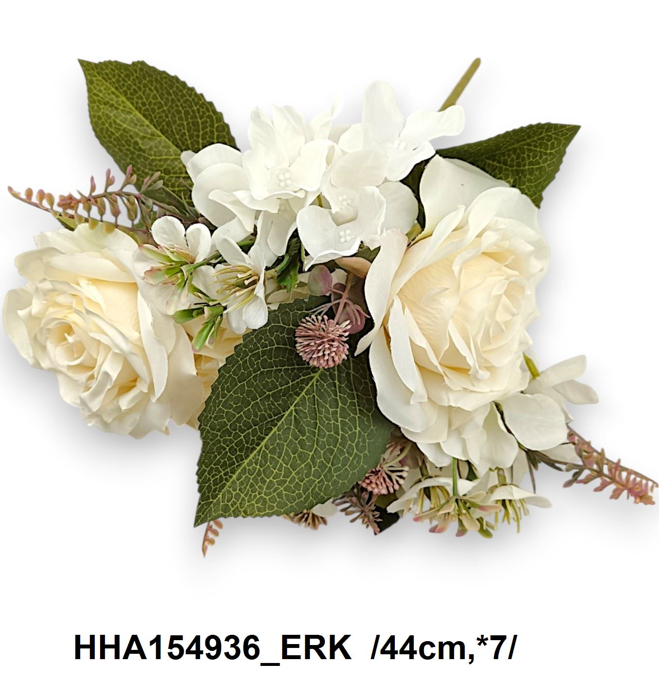 HHA154936_ERK