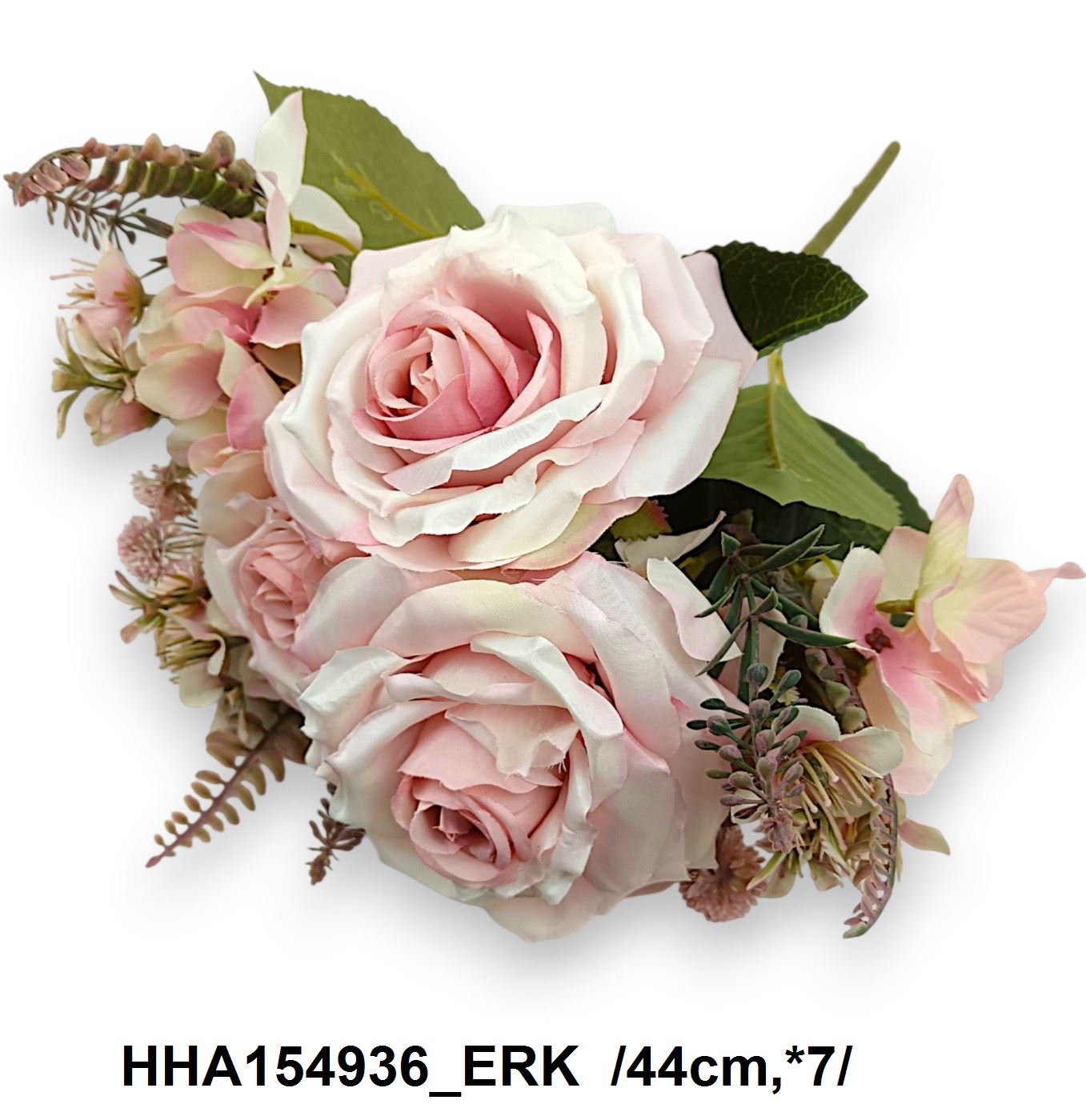 HHA154936_ERK