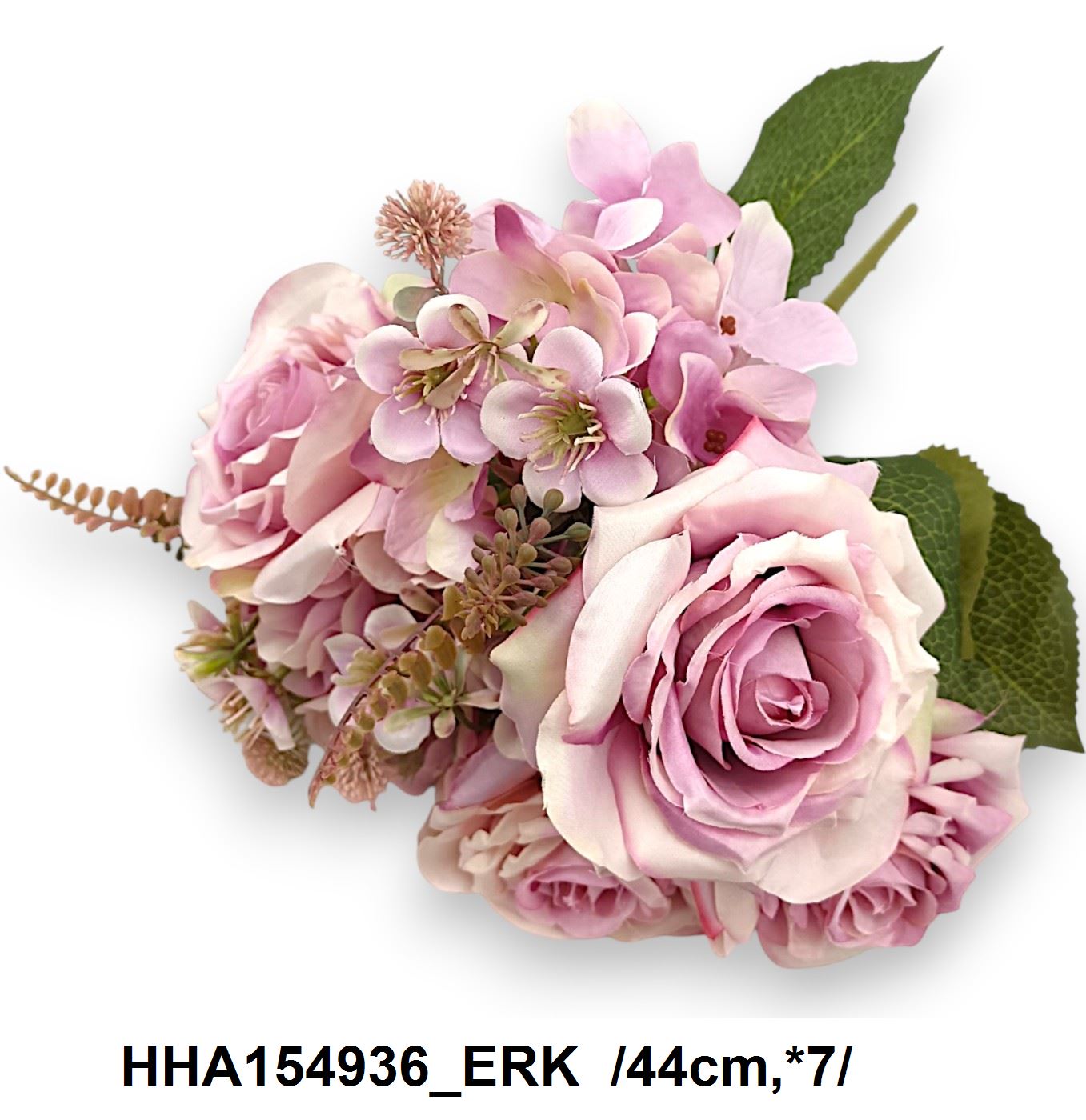 HHA154936_ERK