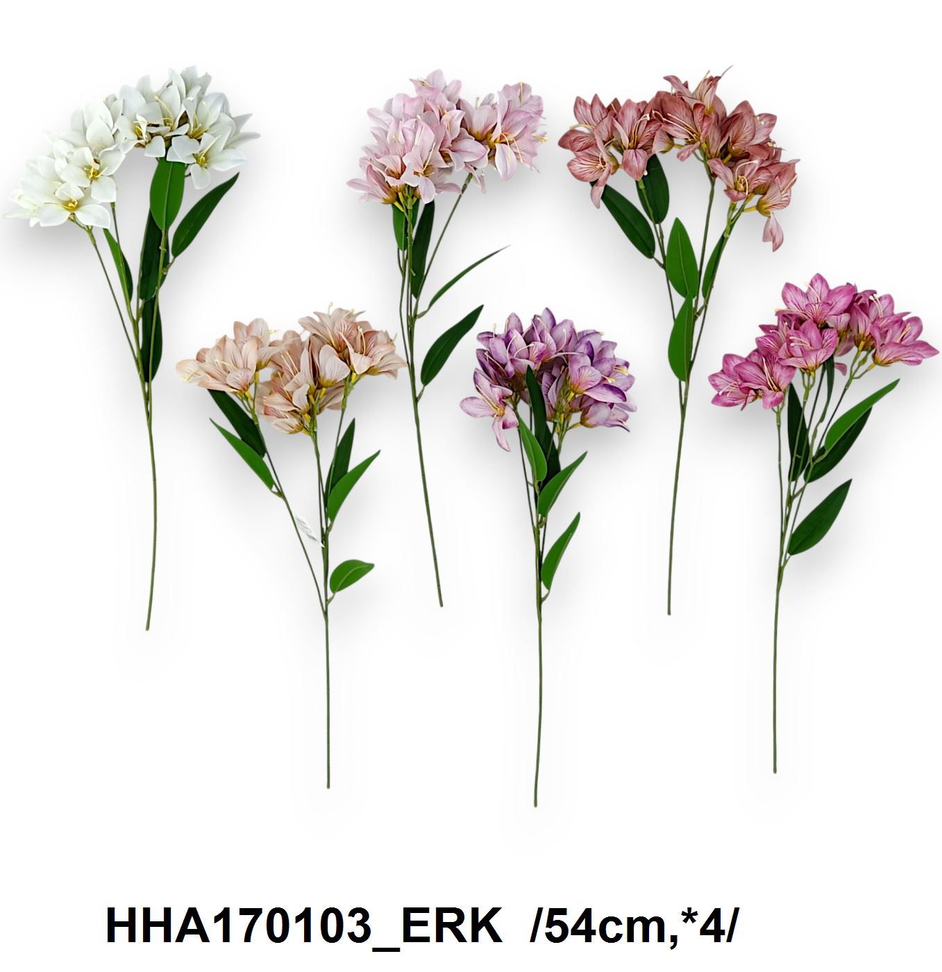 HHA170103_ERK