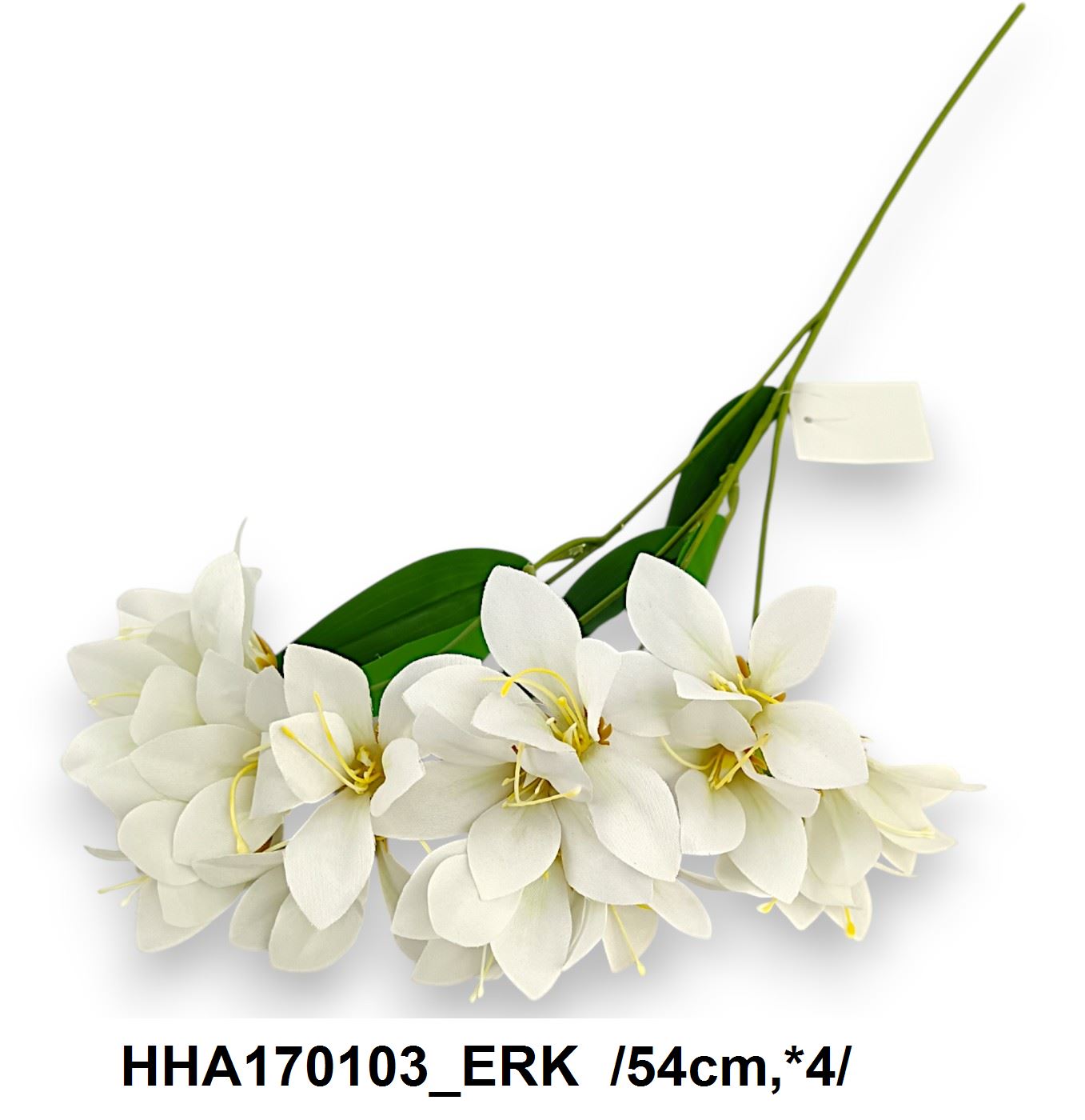 HHA170103_ERK
