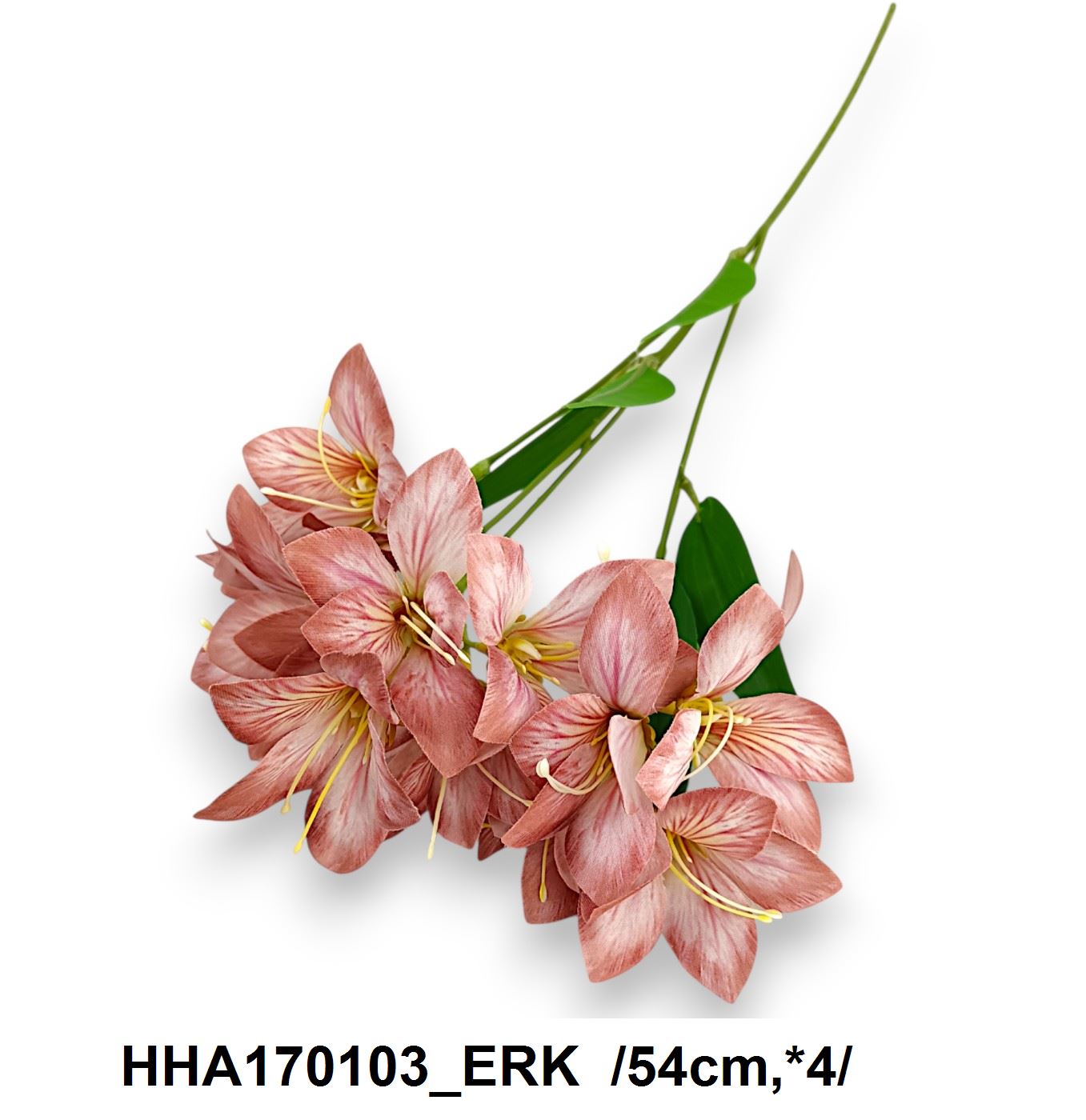 HHA170103_ERK