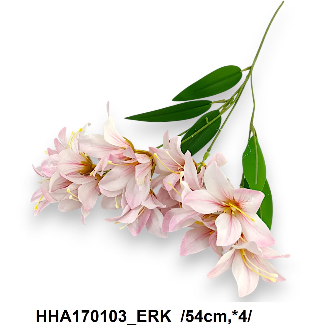 HHA170103_ERK
