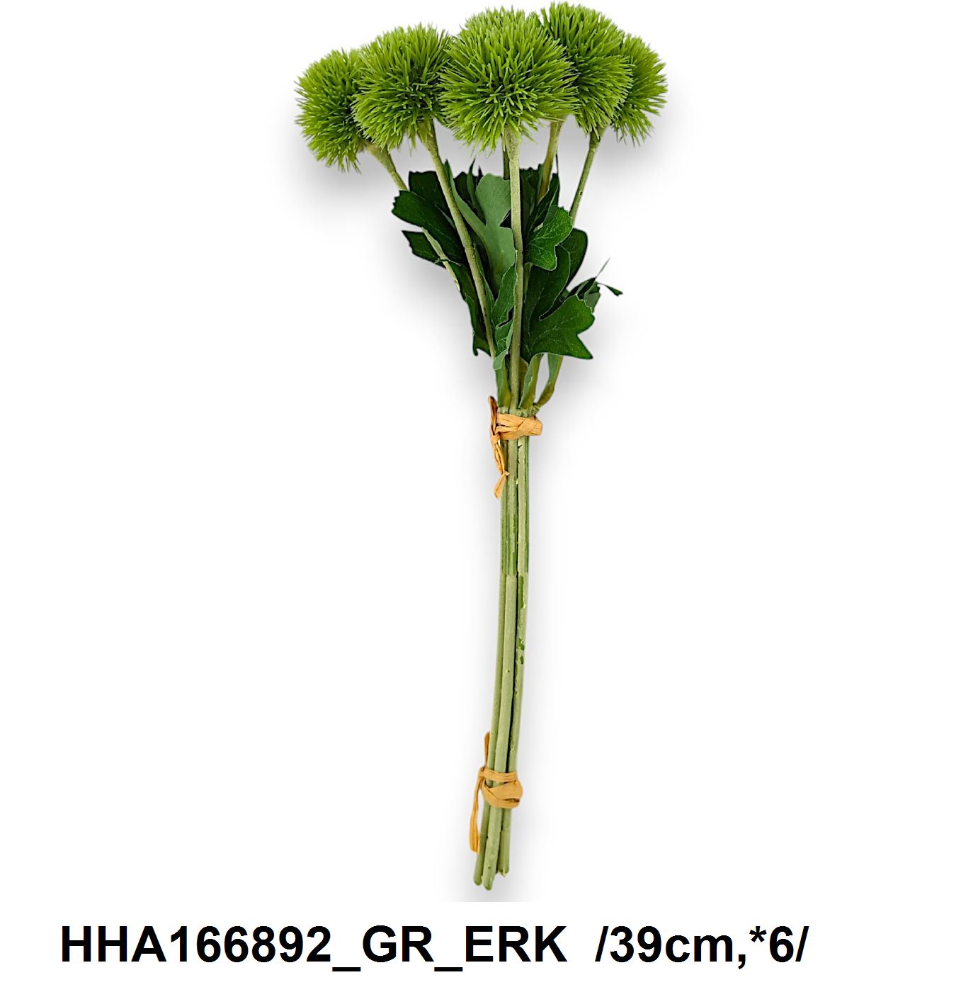 HHA166892_GR_ERK