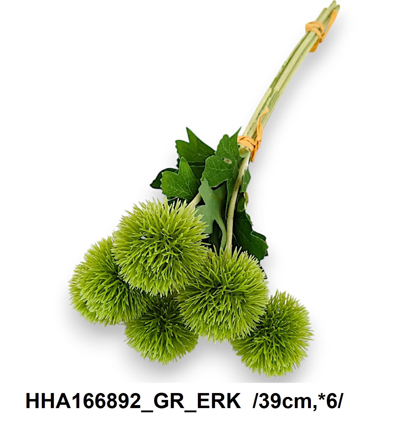 HHA166892_GR_ERK