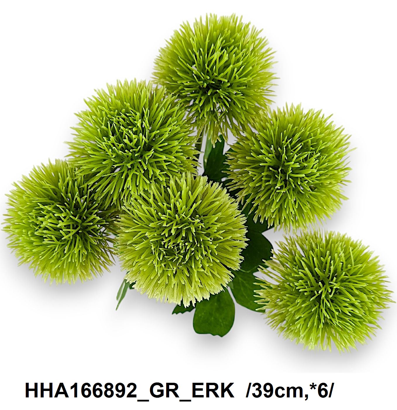 HHA166892_GR_ERK