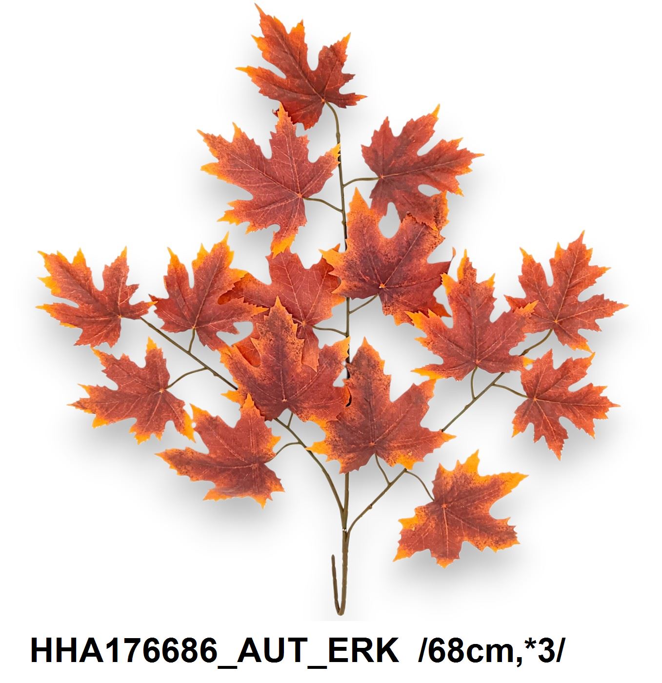 HHA176686_AUT_ERK