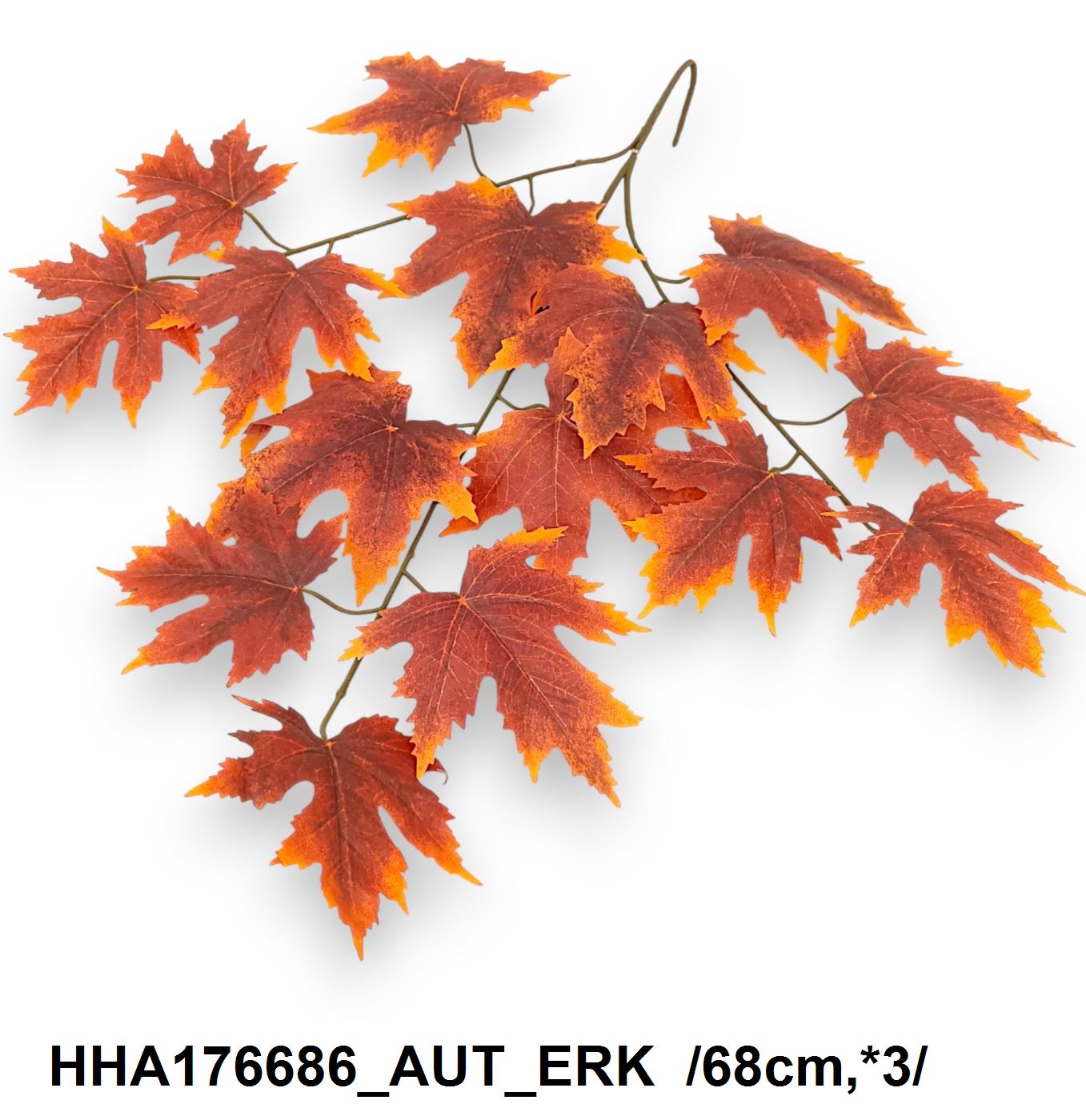 HHA176686_AUT_ERK