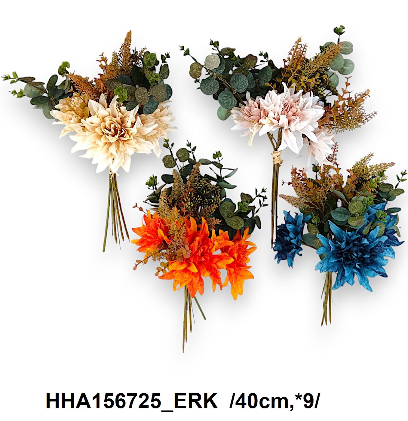 HHA156725_ERK