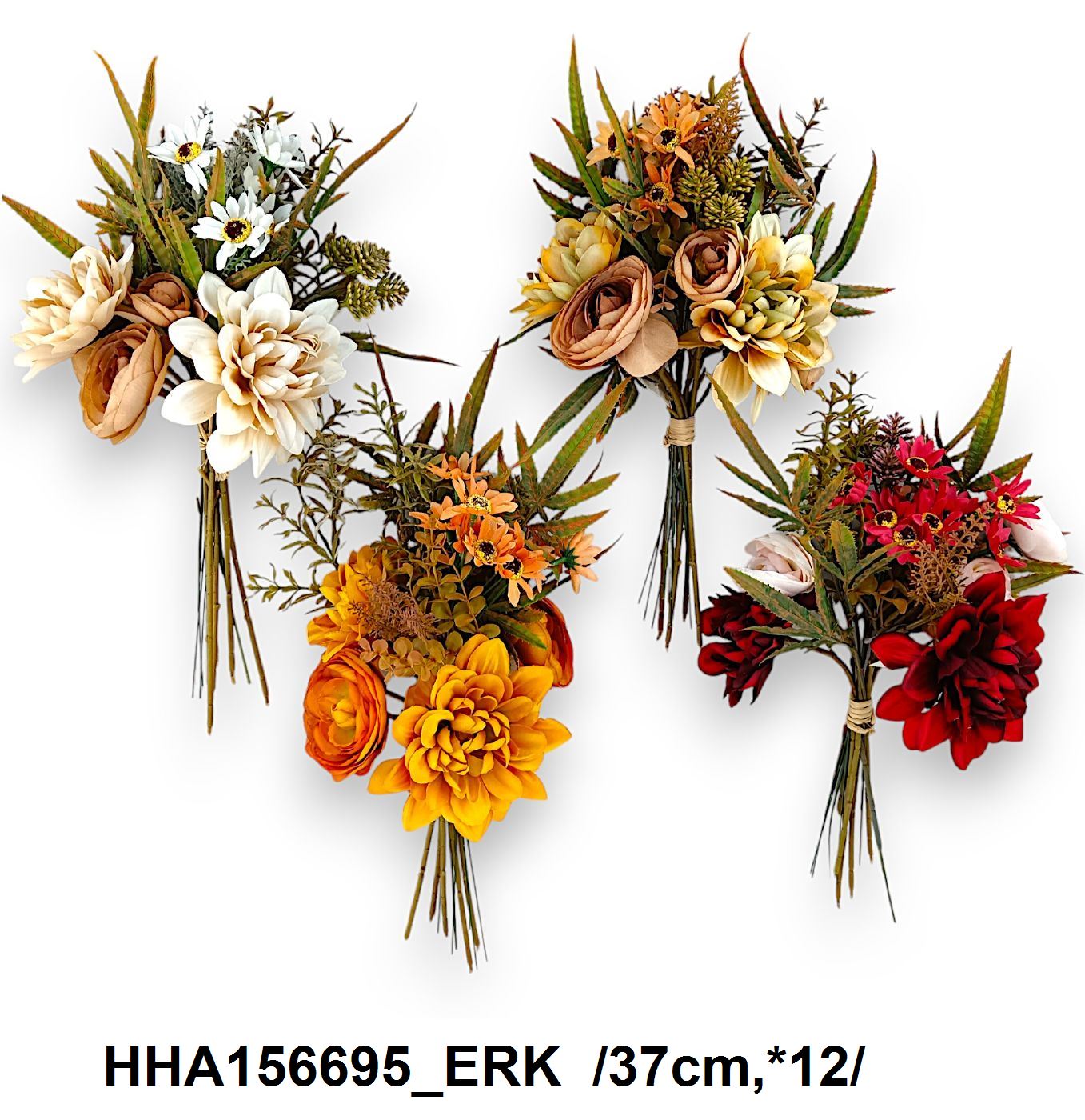 HHA156695_ERK
