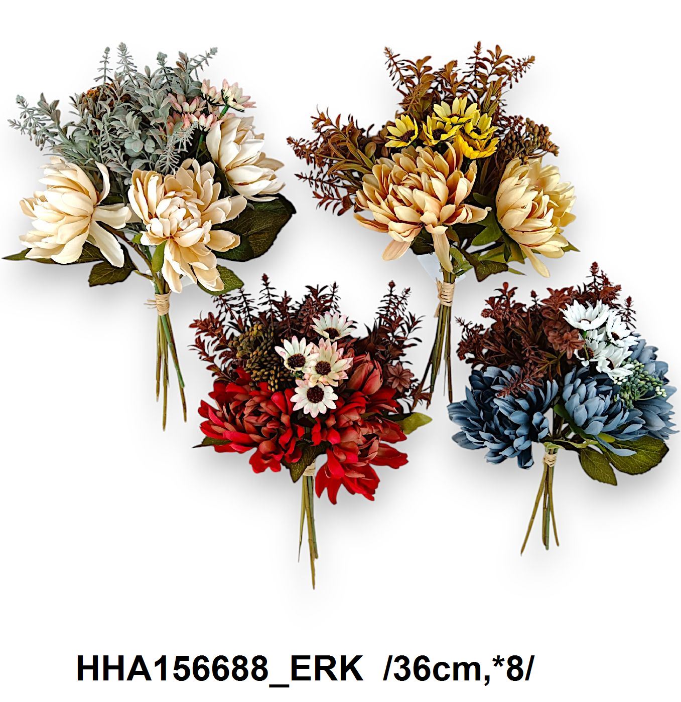 HHA156688_ERK