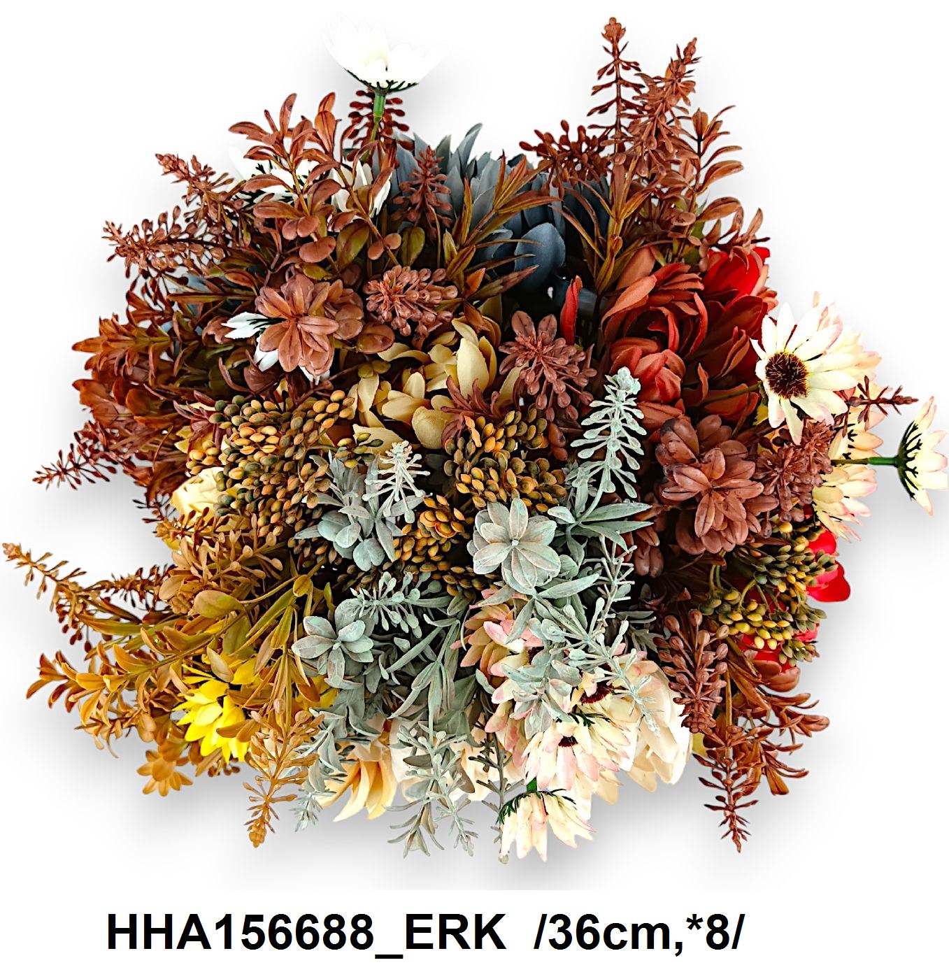 HHA156688_ERK