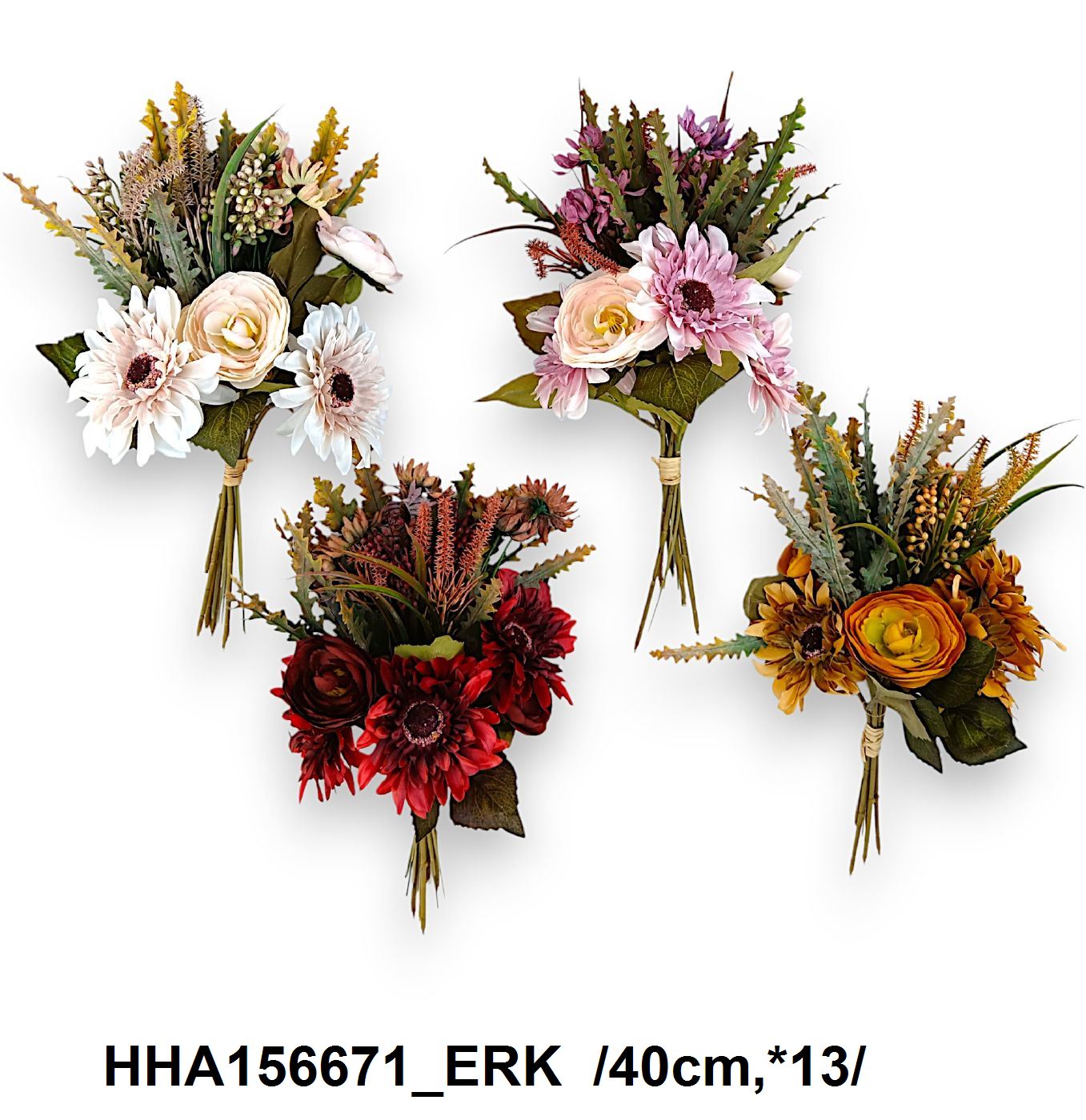 HHA156671_ERK