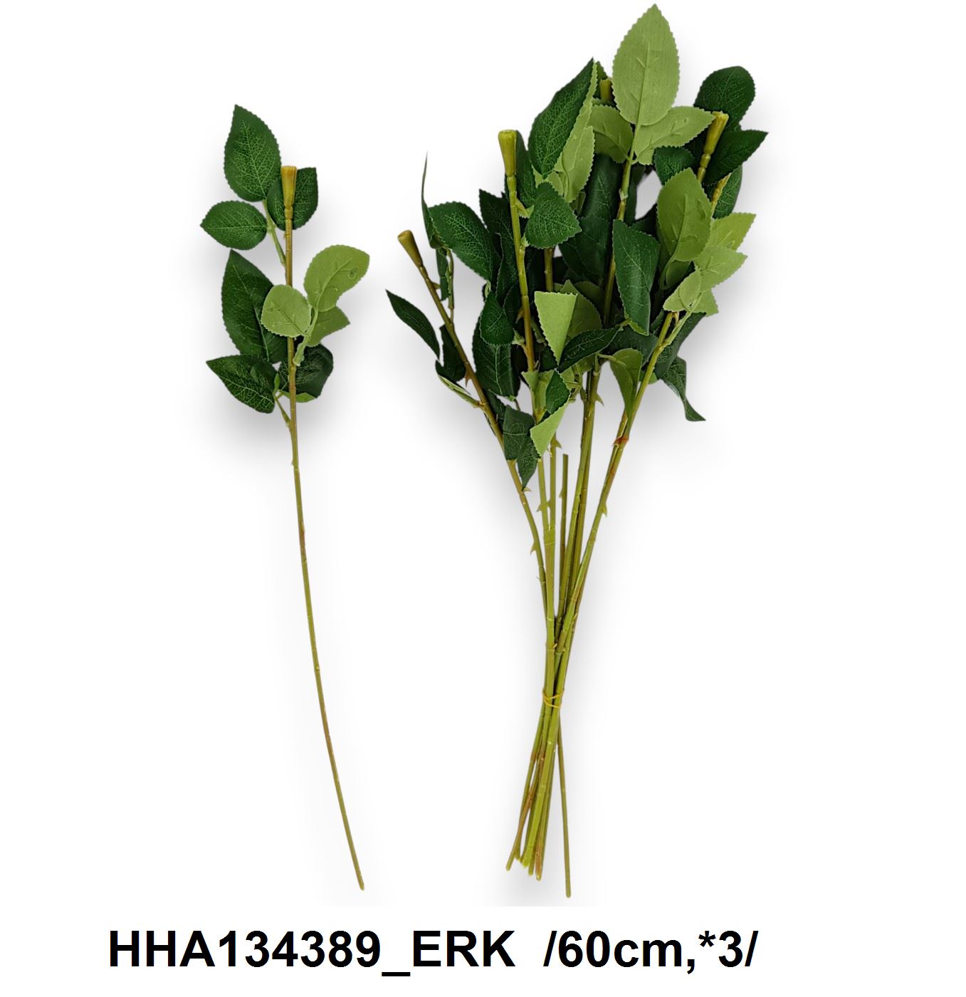 HHA134389_ERK