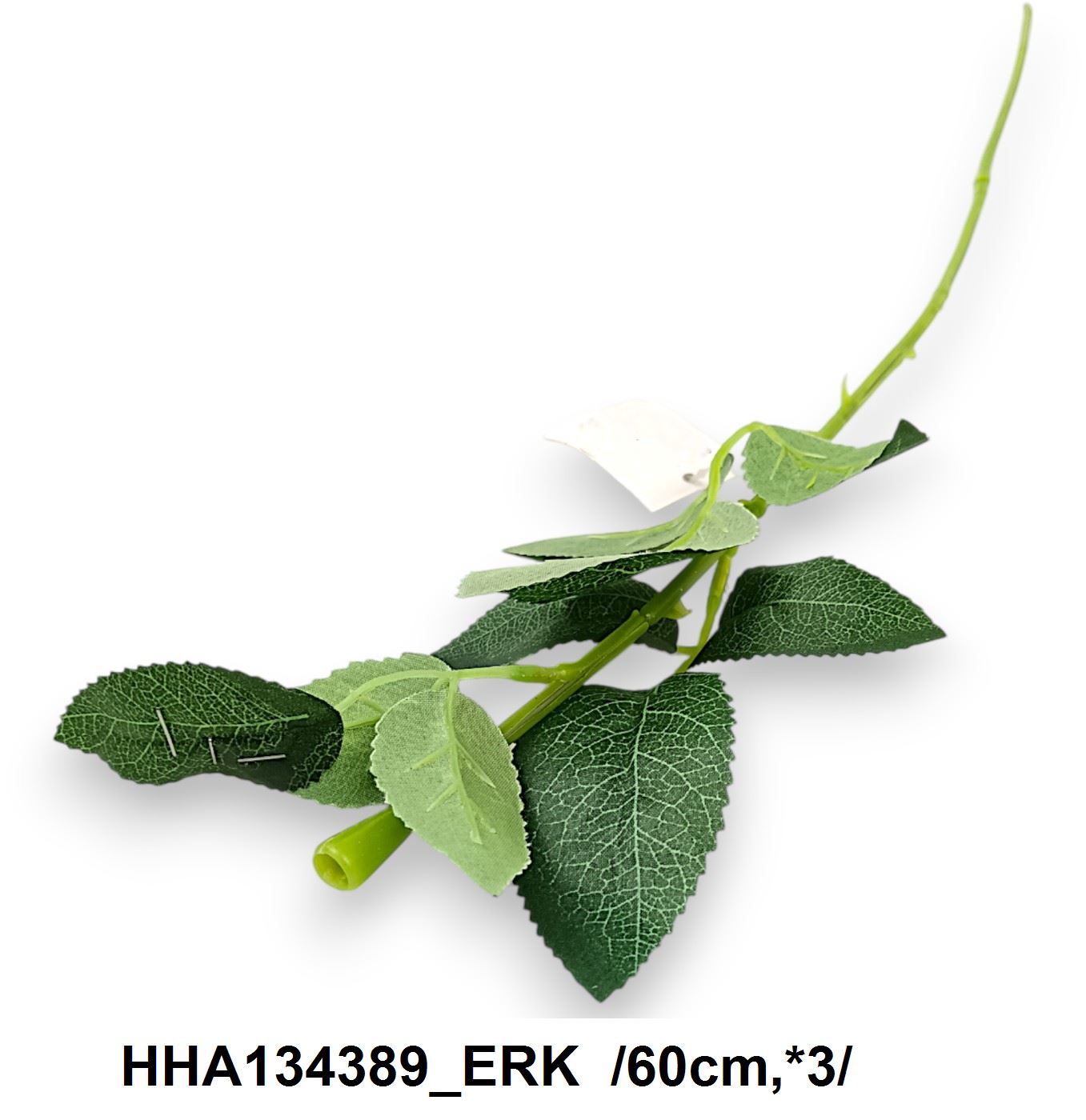 HHA134389_ERK