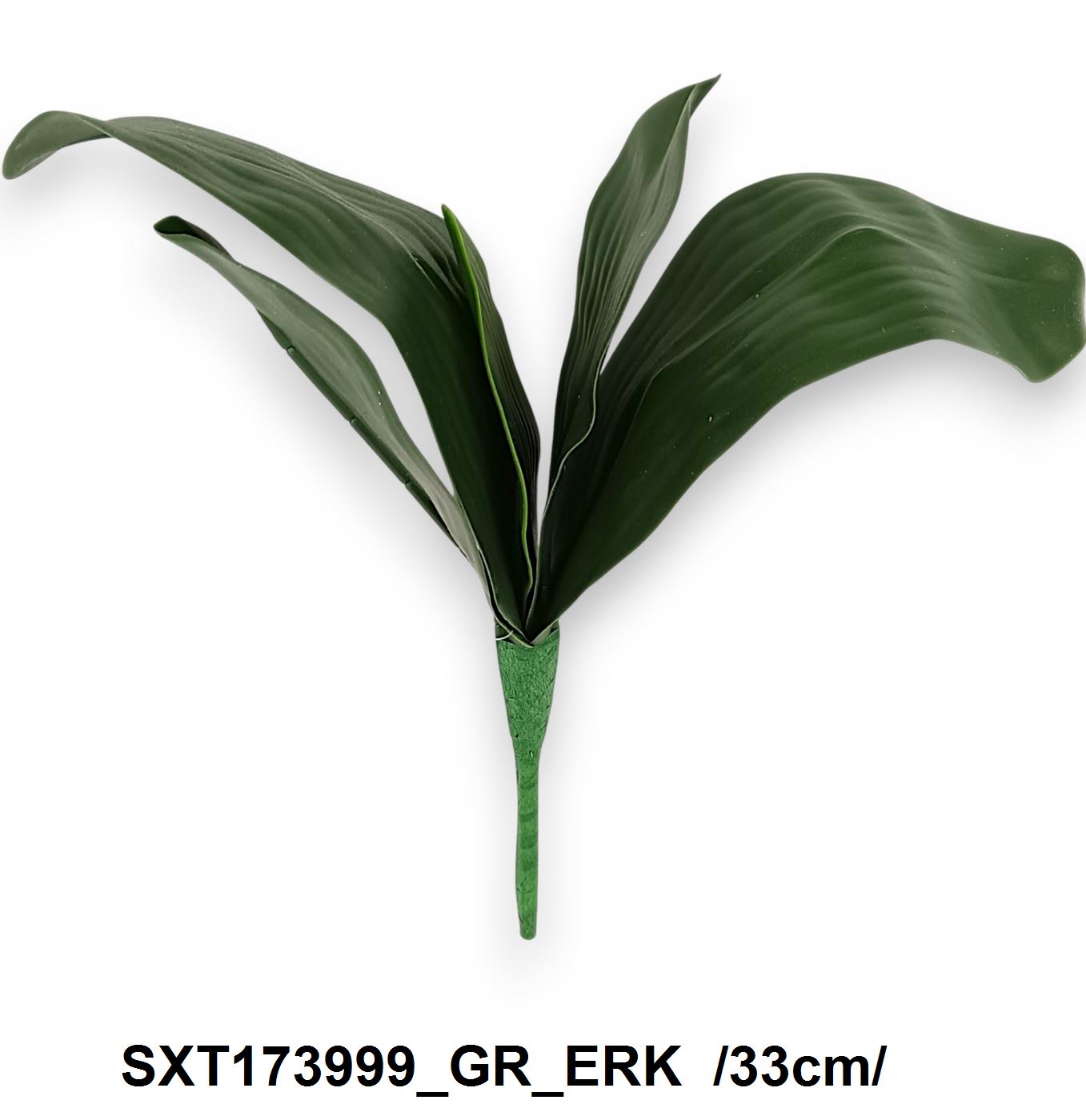 SXT173999_GR_ERK