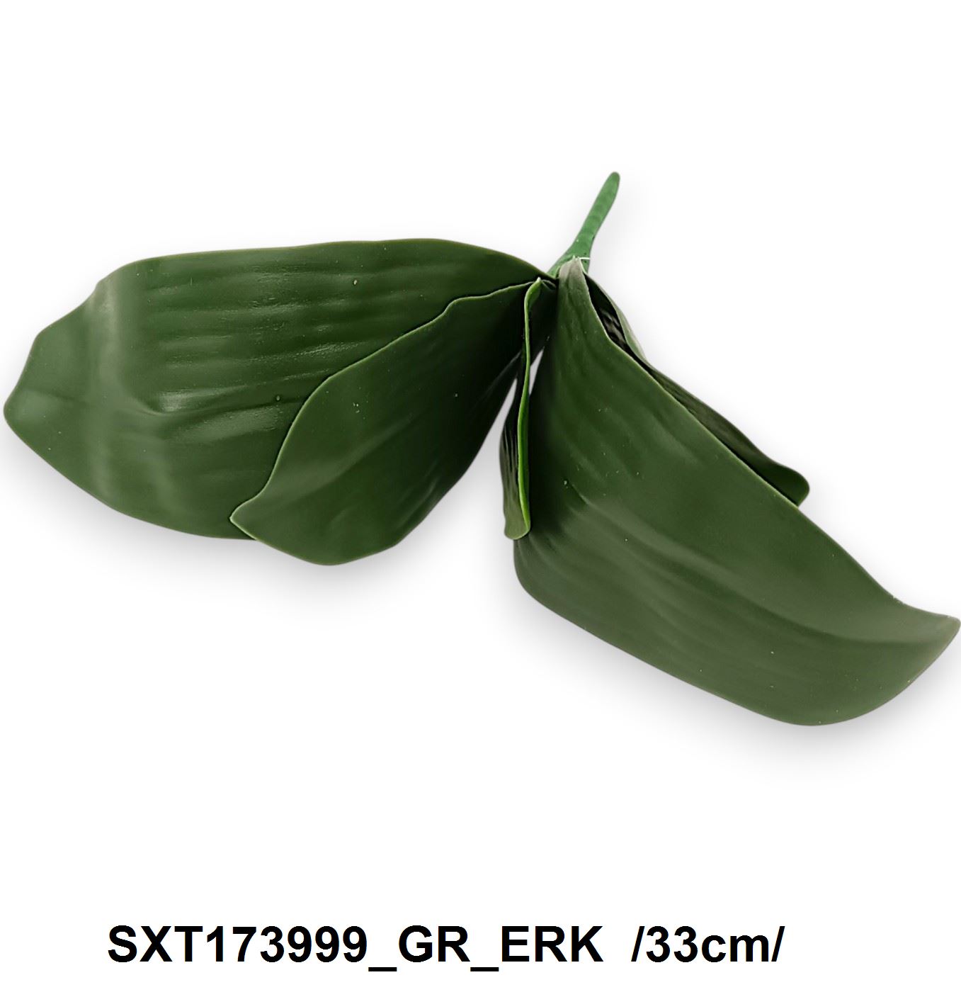 SXT173999_GR_ERK