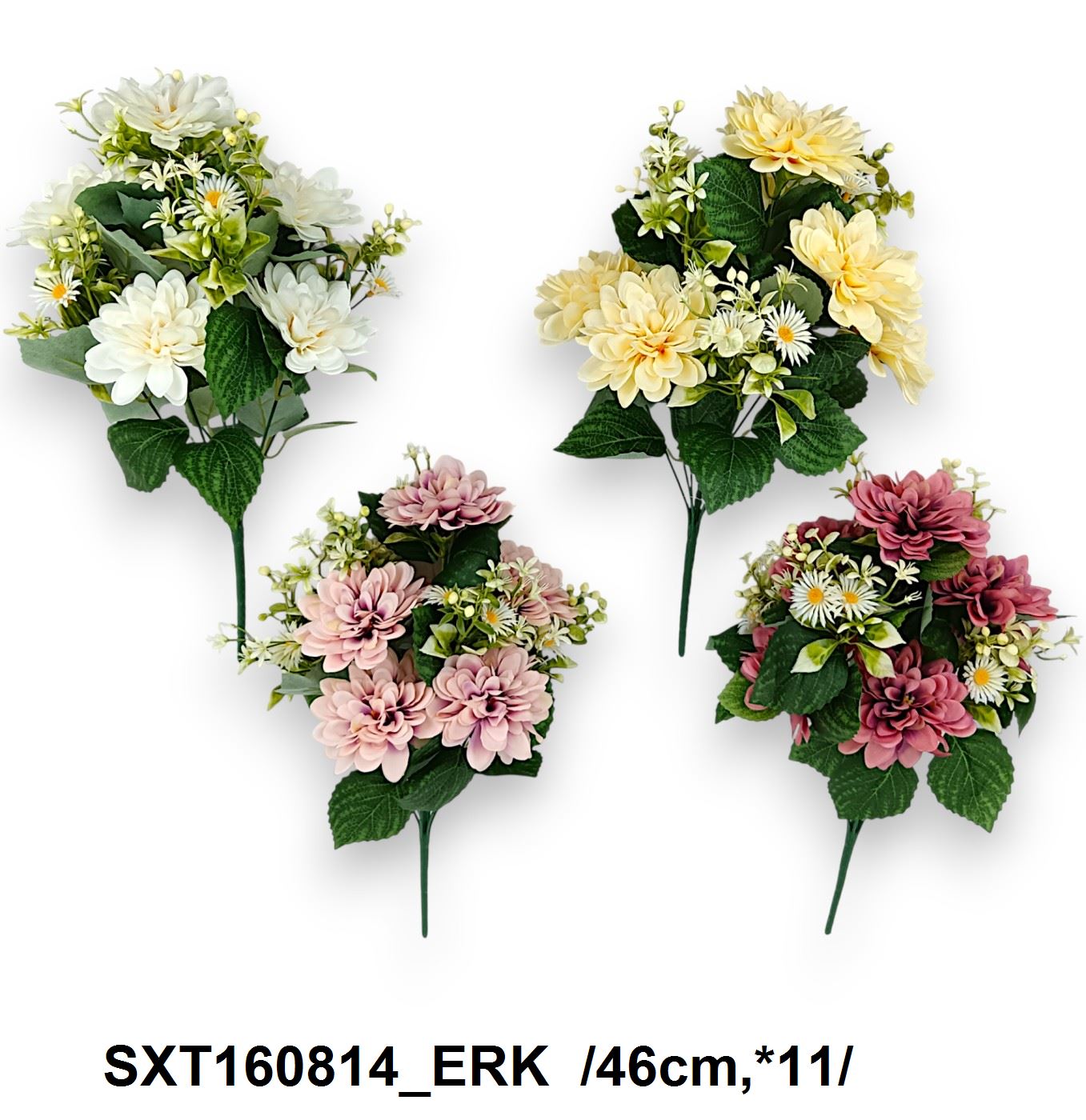 SXT160814_ERK