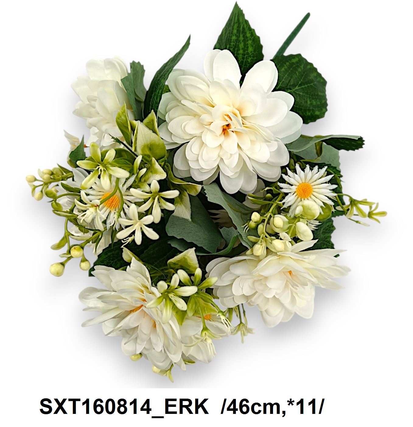 SXT160814_ERK