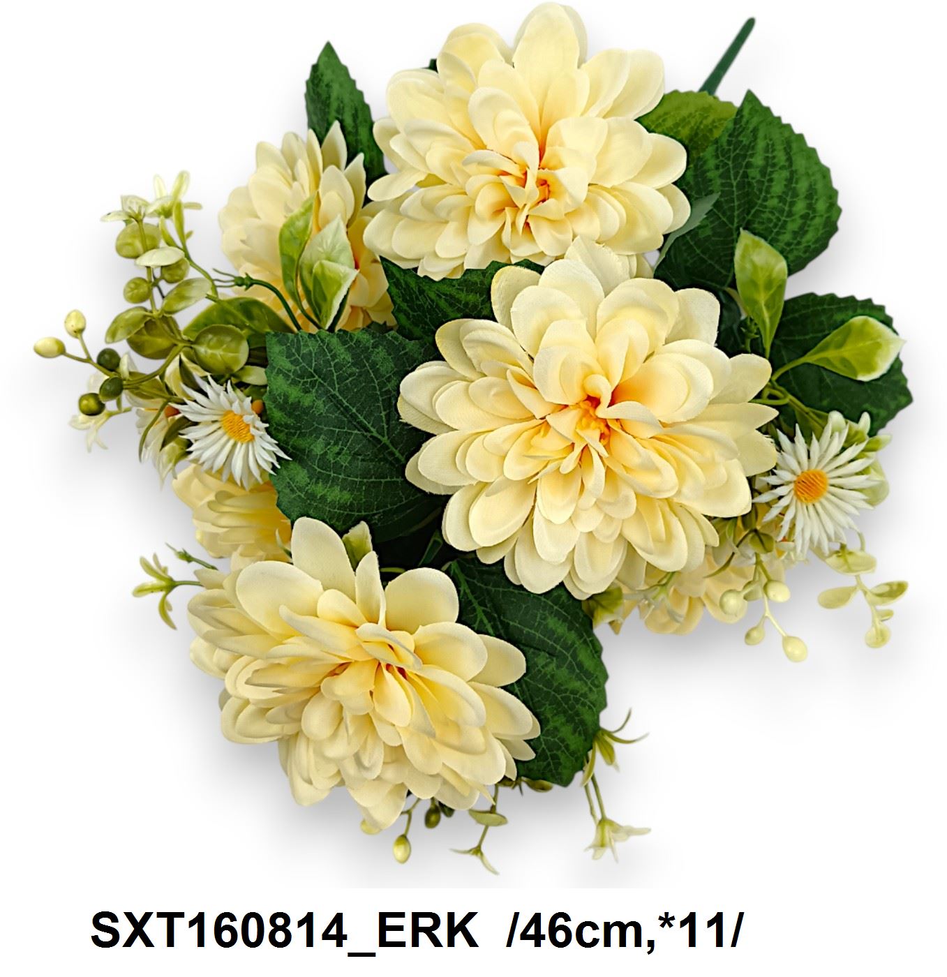 SXT160814_ERK