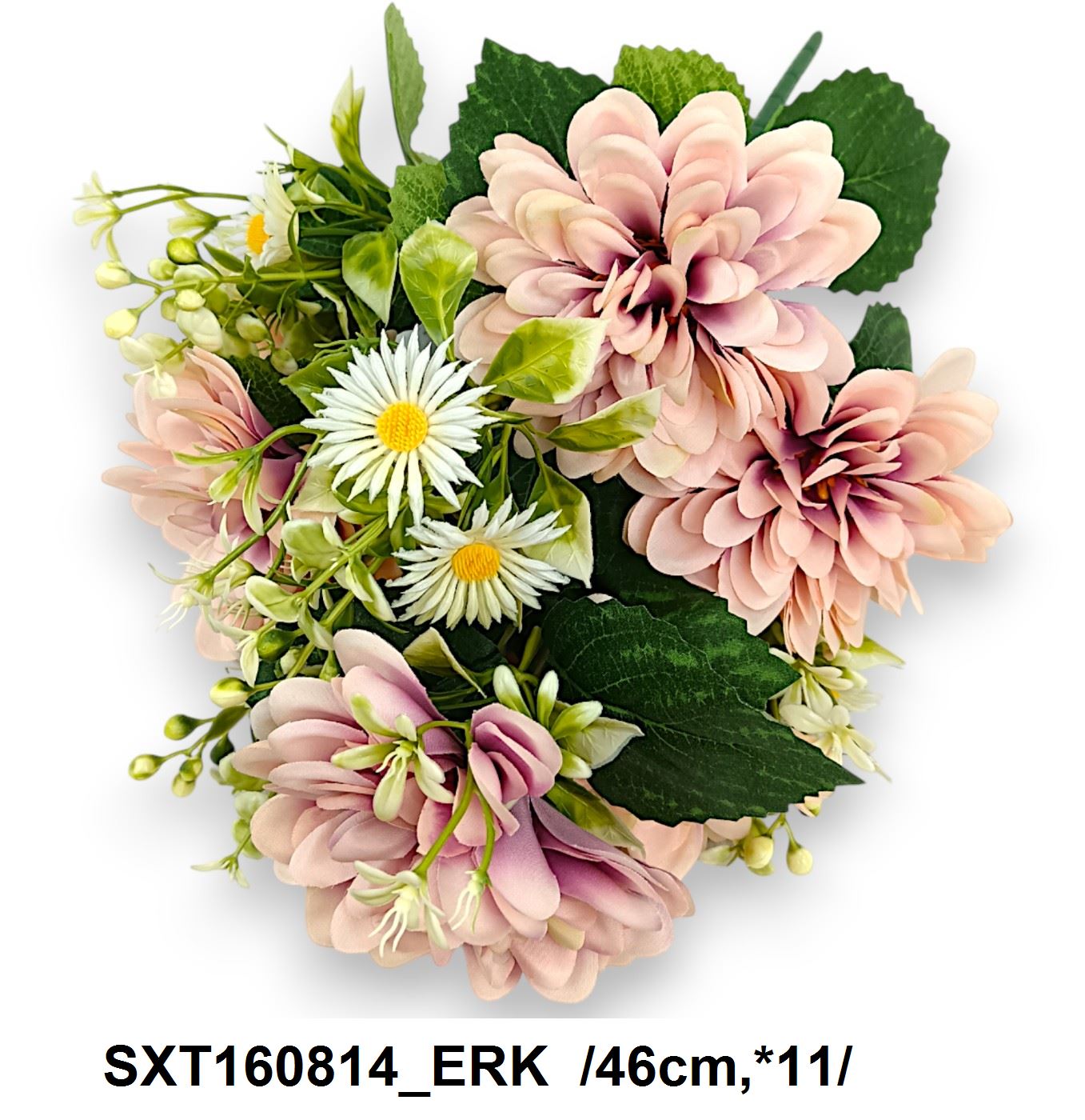 SXT160814_ERK