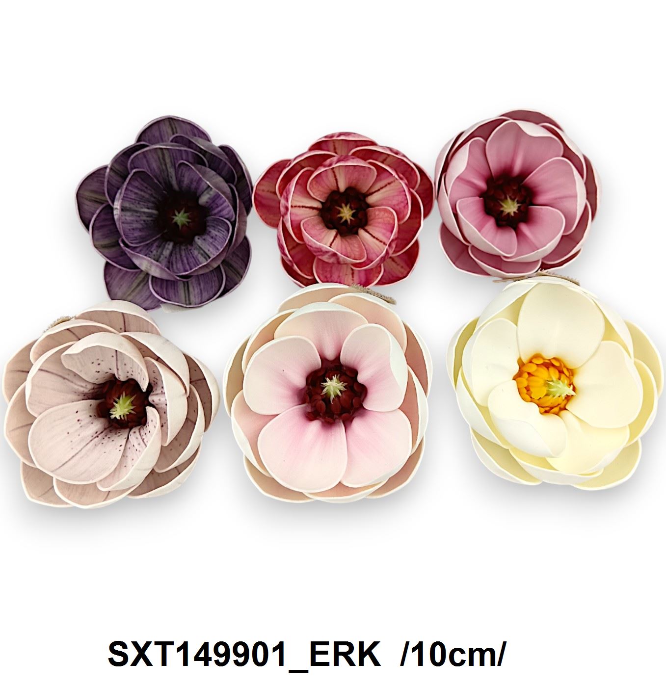 SXT149901_ERK