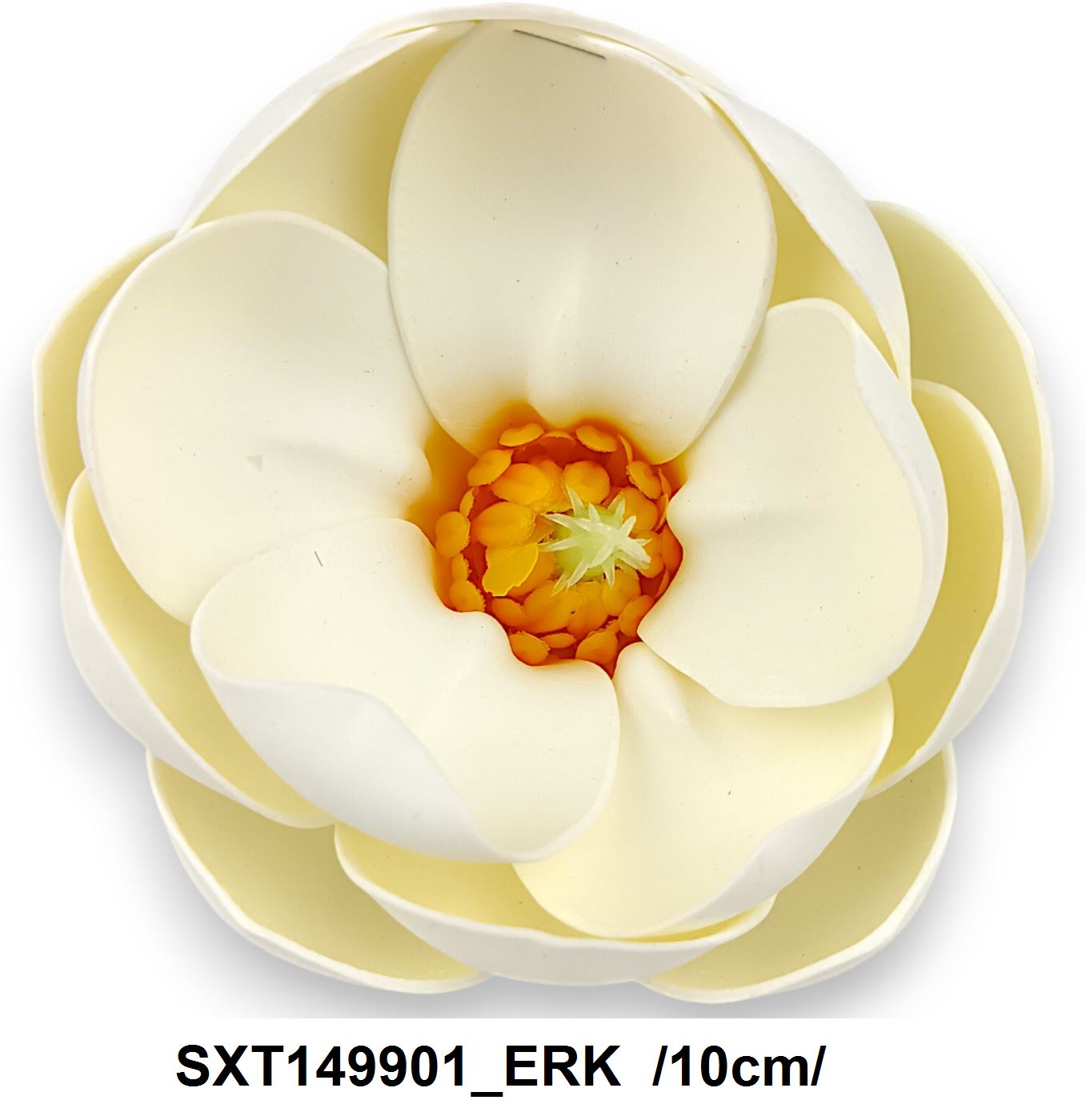 SXT149901_ERK