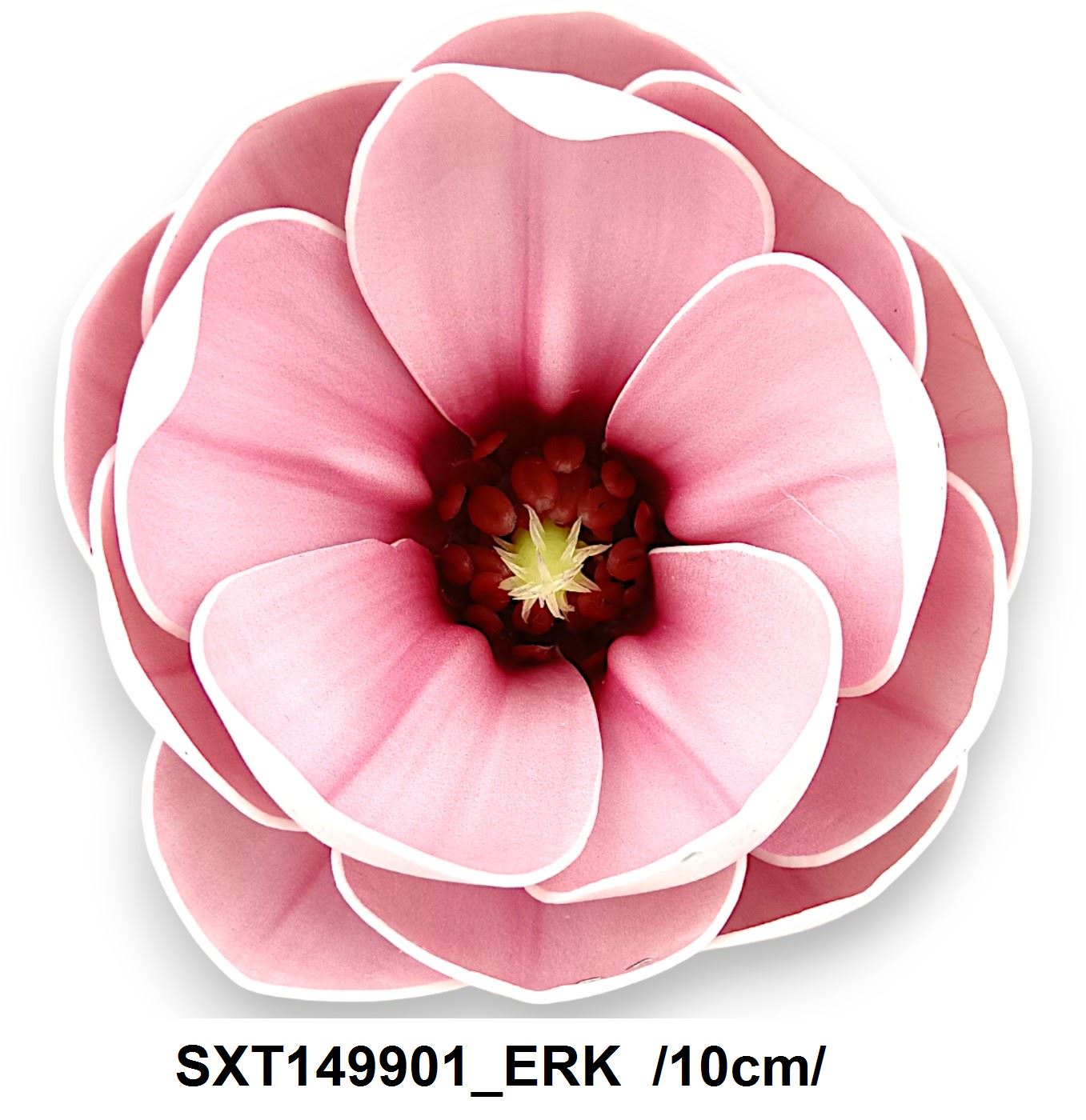 SXT149901_ERK