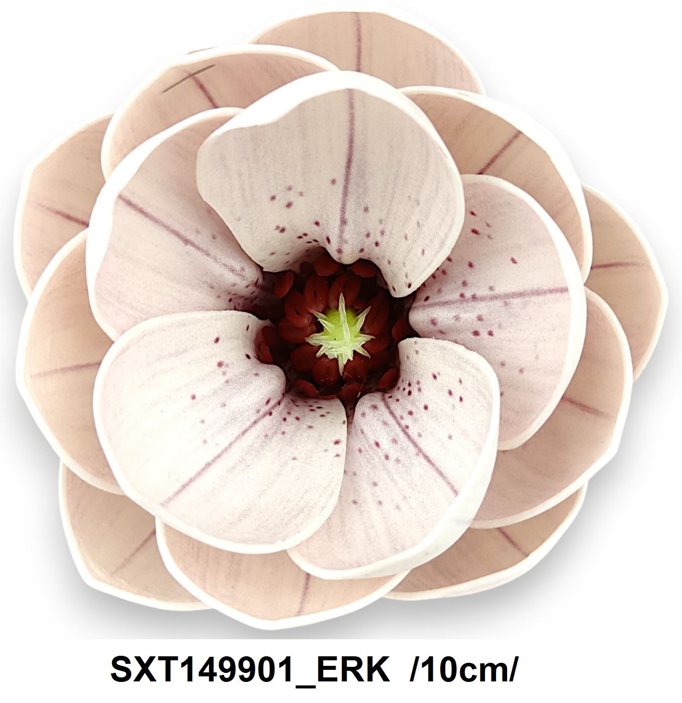 SXT149901_ERK