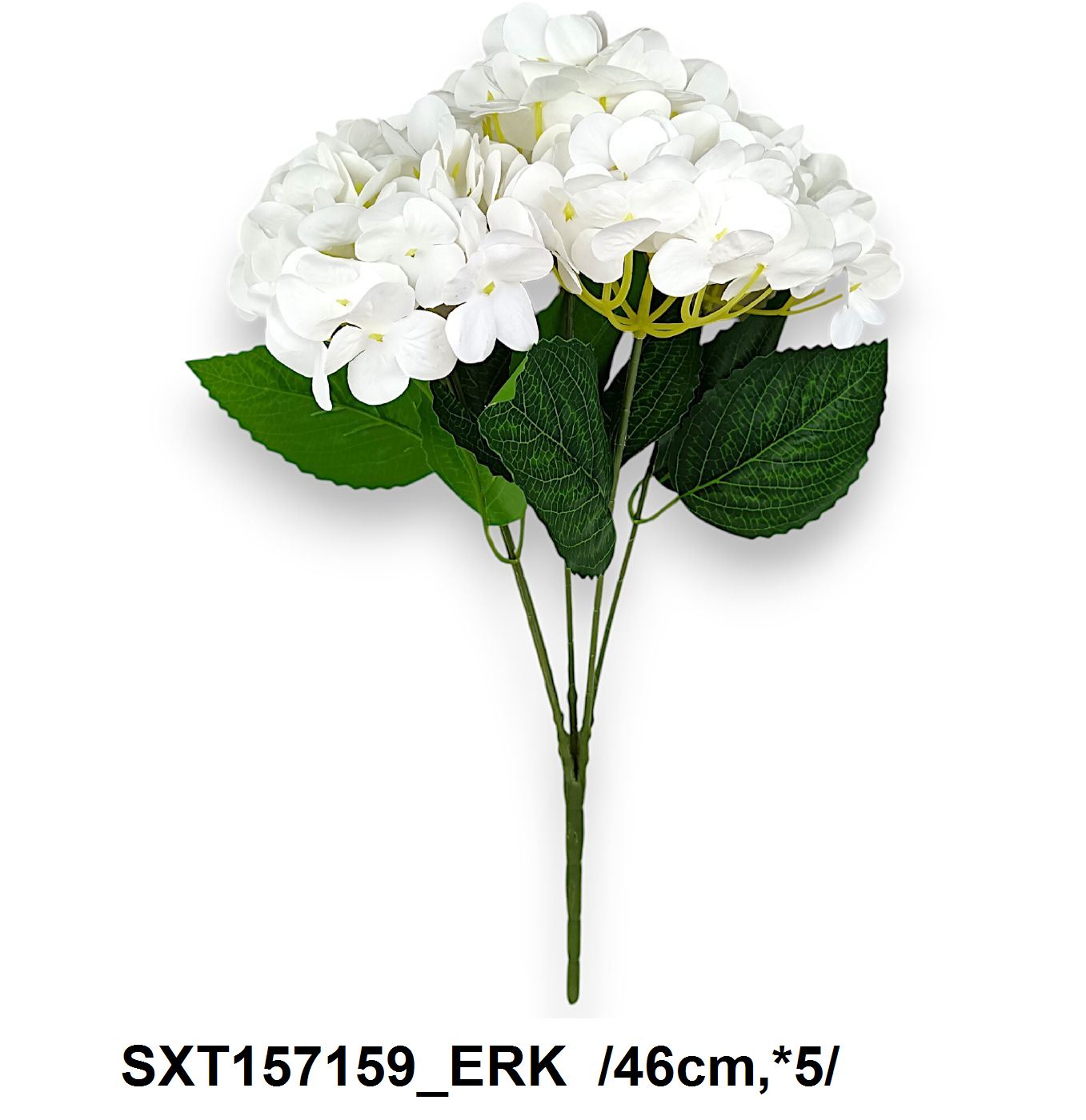 SXT157159_ERK
