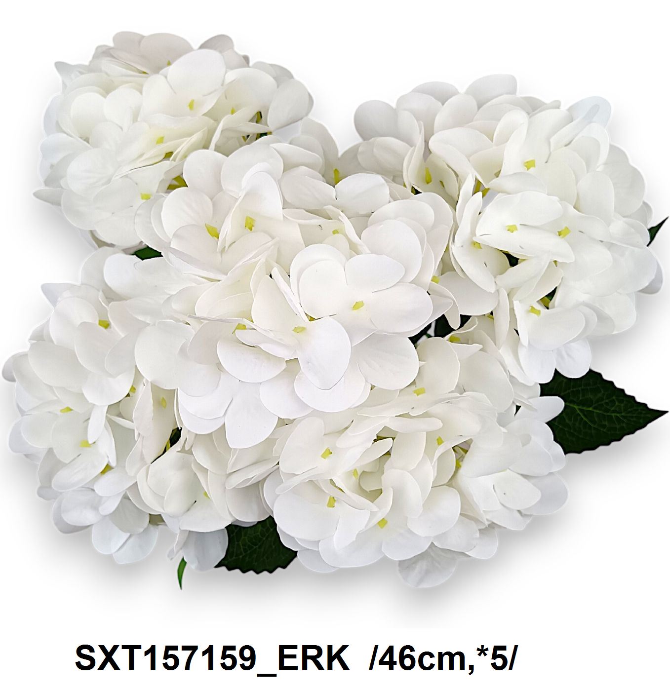 SXT157159_ERK