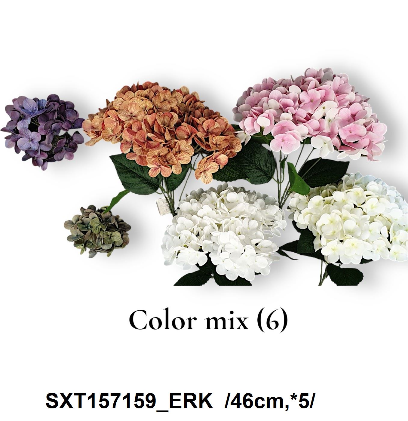 SXT157159_ERK