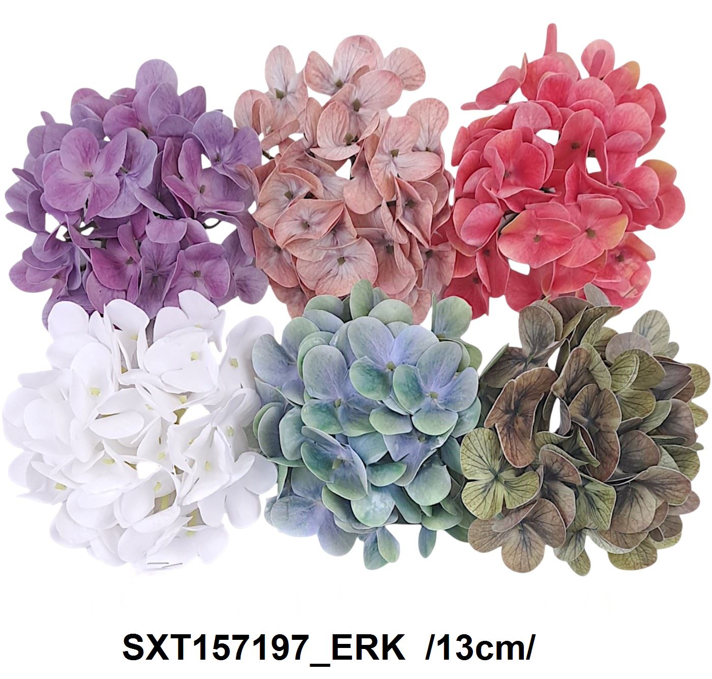 SXT157197_ERK