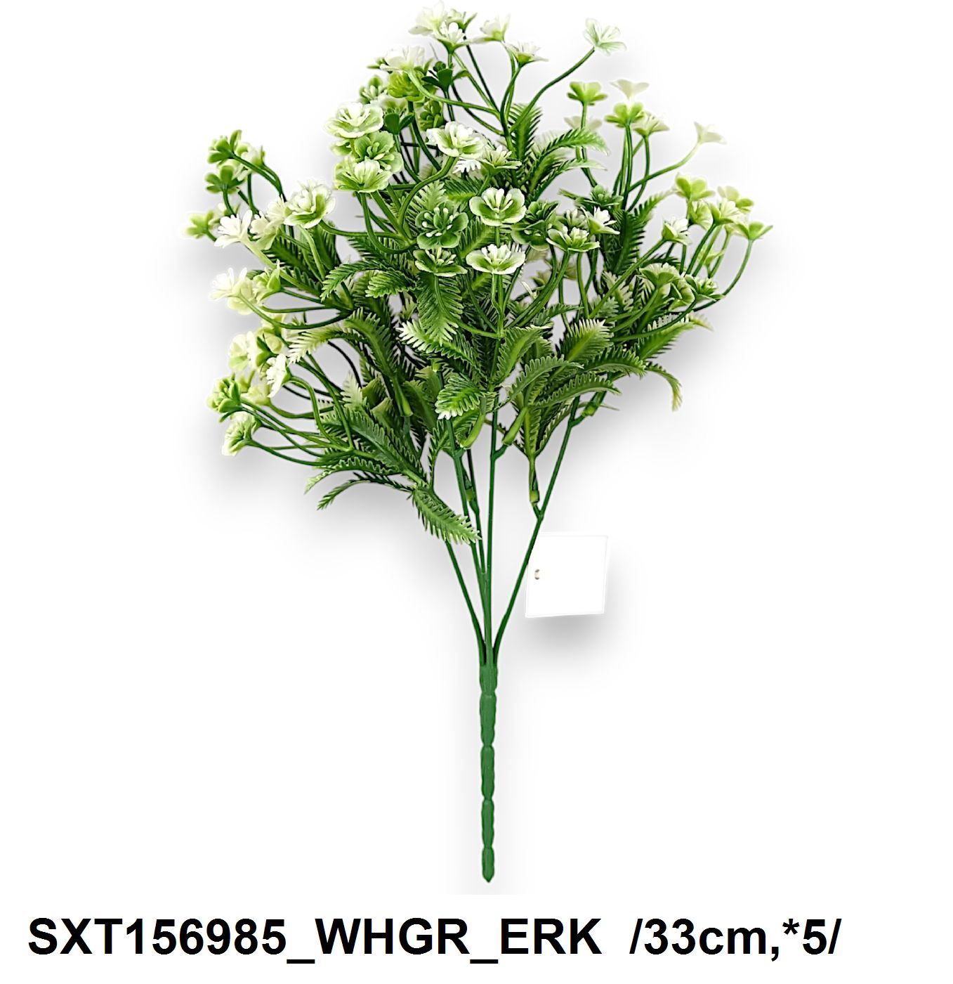 SXT156985_WHGR_ERK