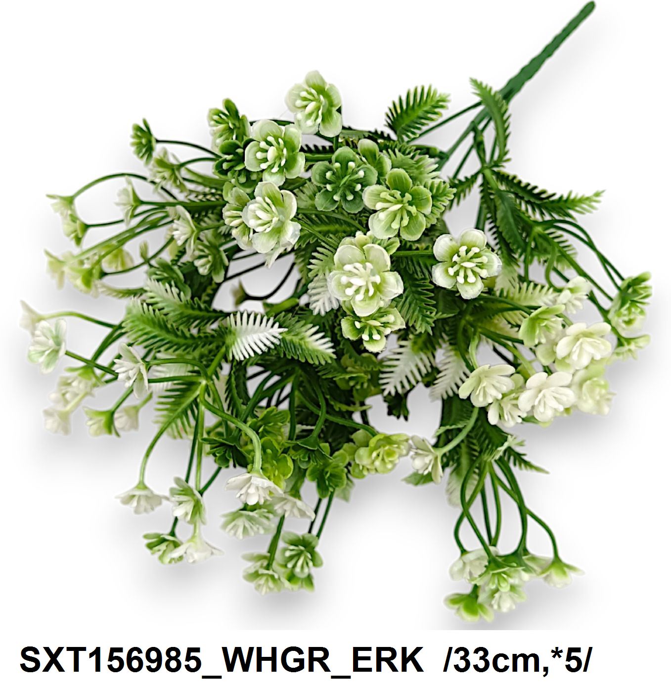 SXT156985_WHGR_ERK