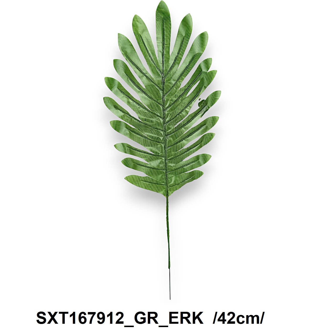 SXT167912_GR_ERK
