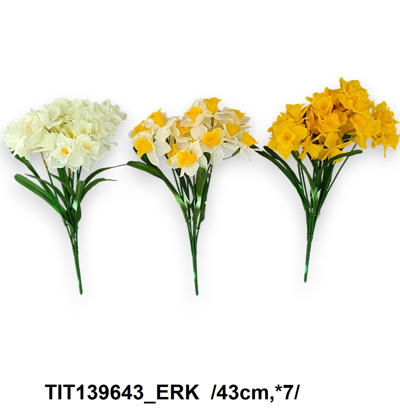TIT139643_ERK