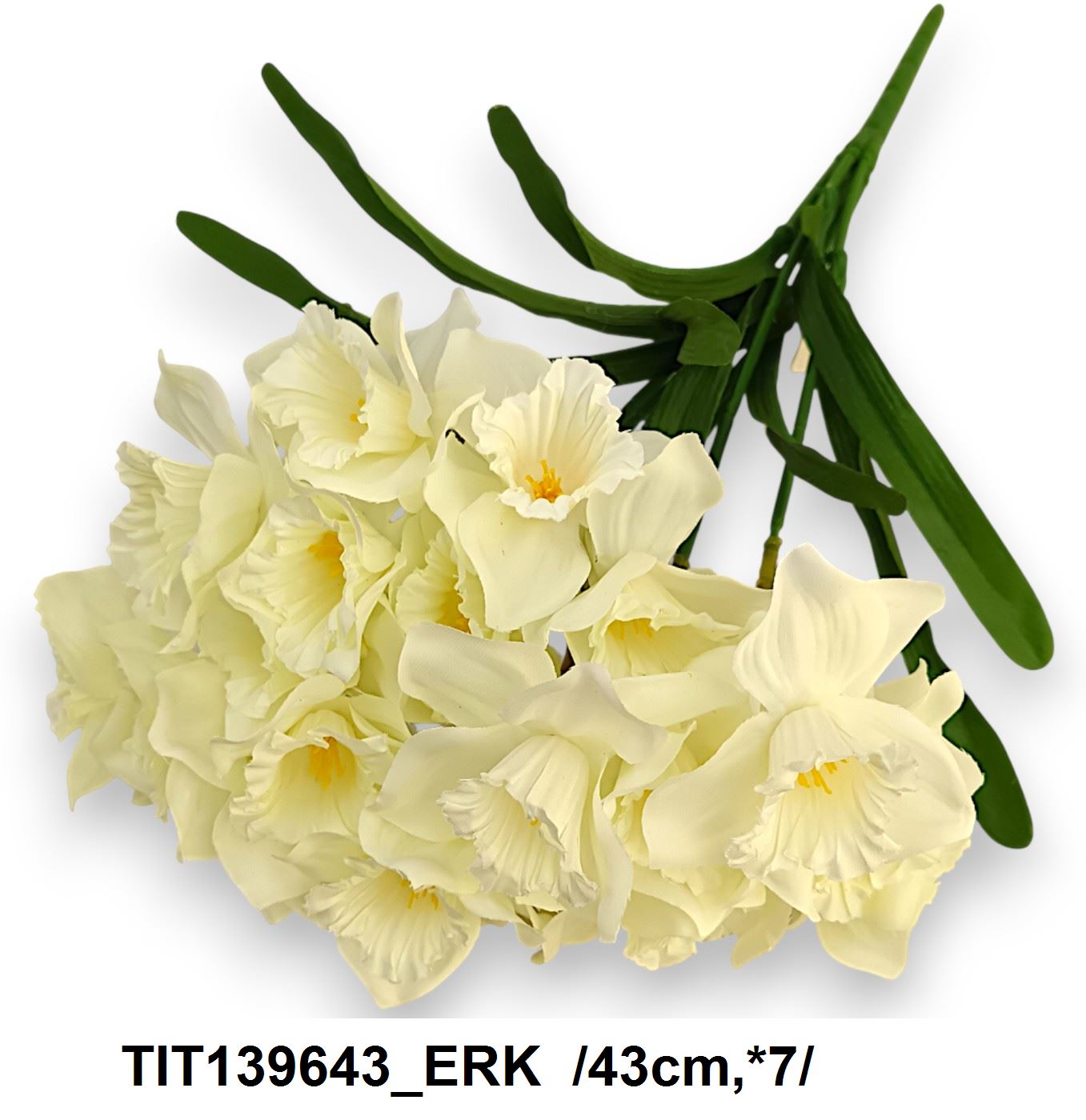 TIT139643_ERK