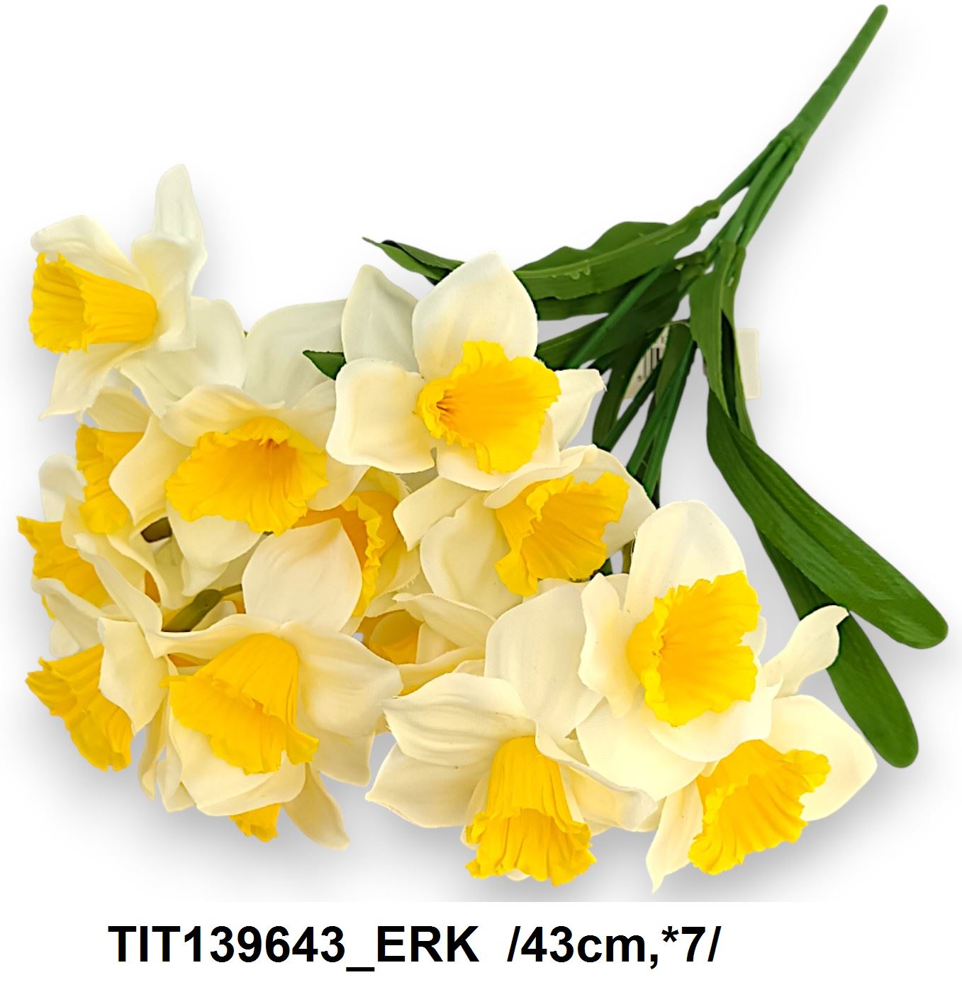 TIT139643_ERK