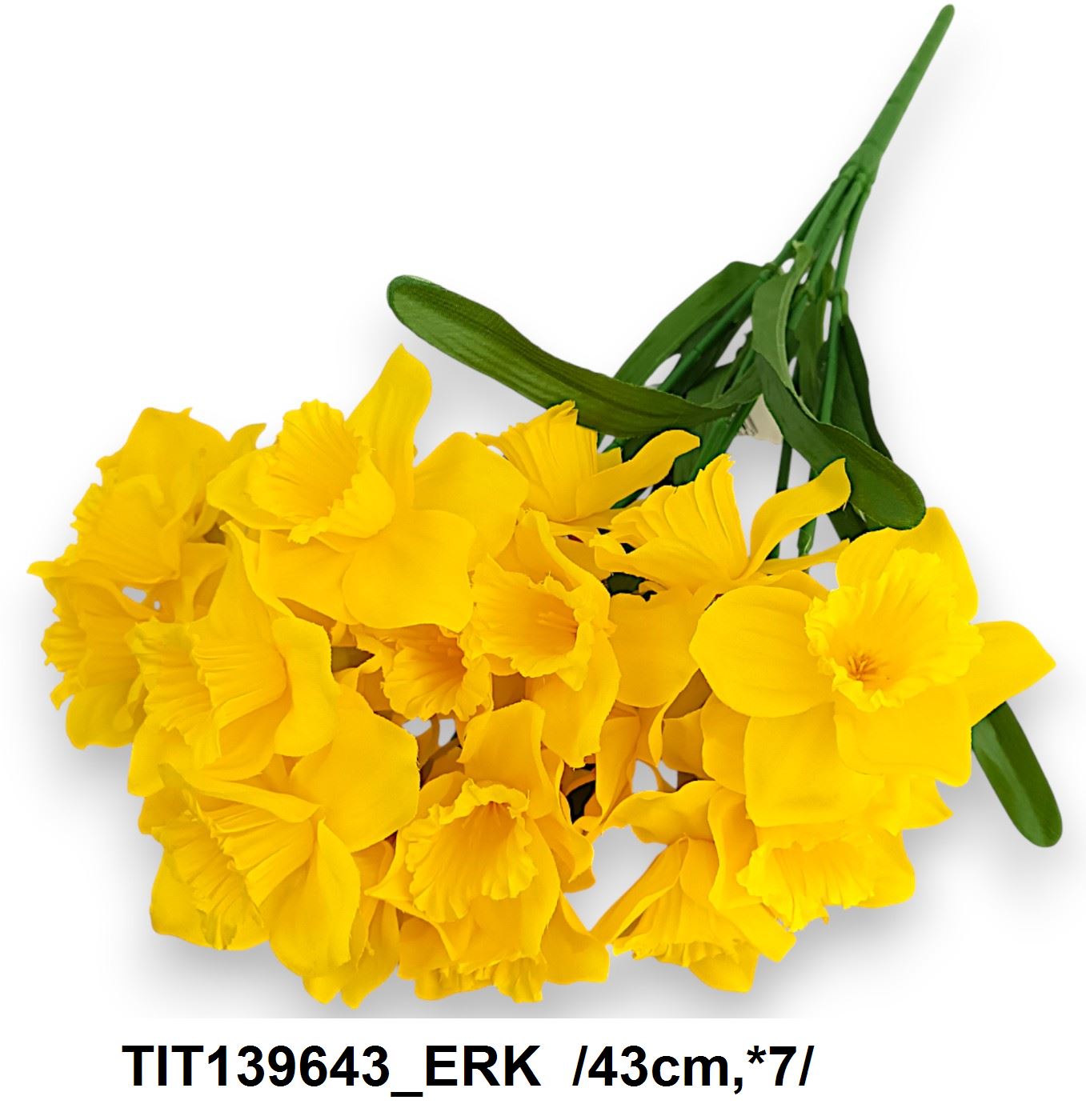 TIT139643_ERK