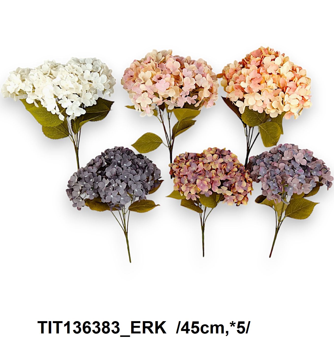 TIT136383_ERK