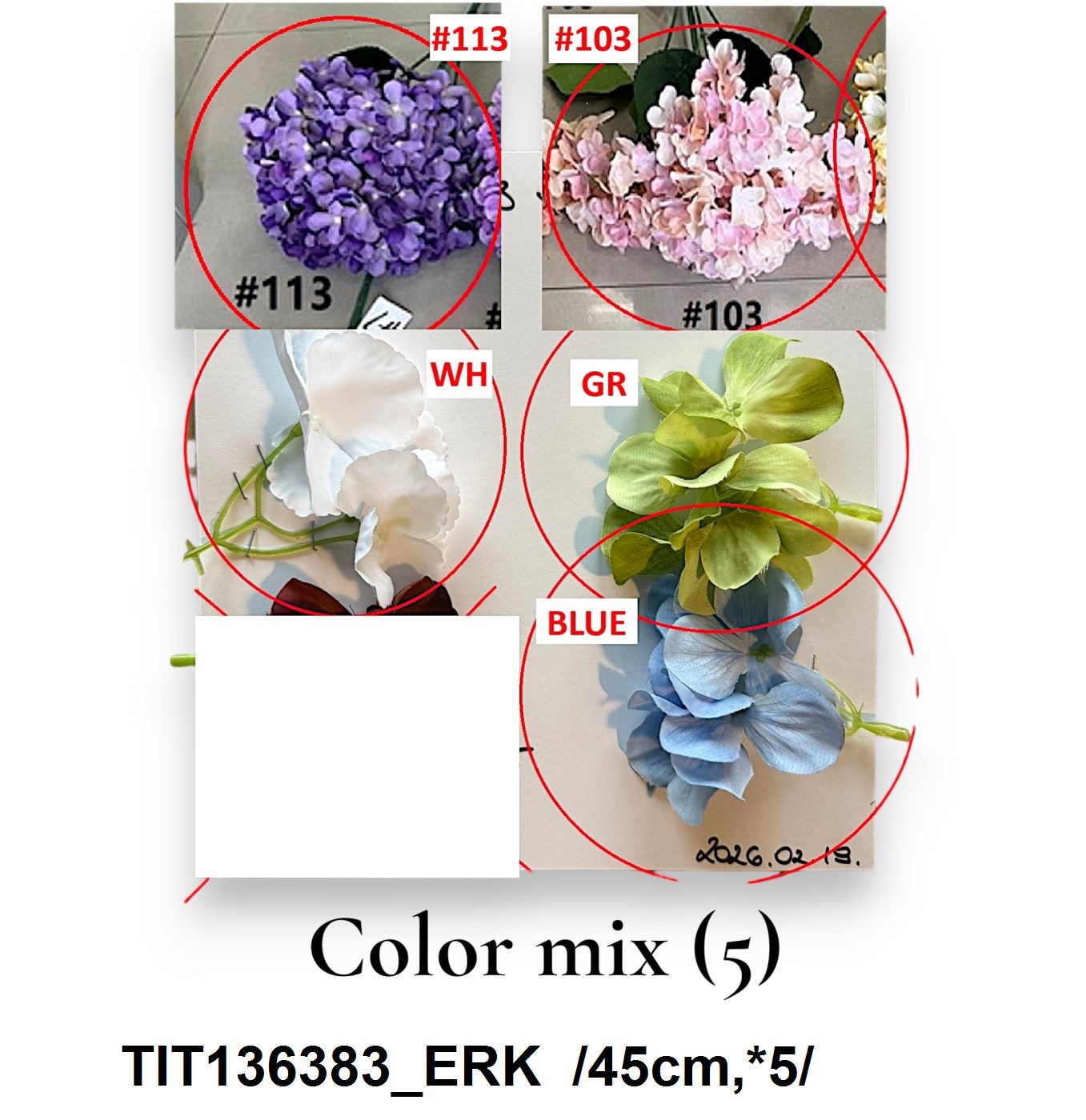 TIT136383_ERK