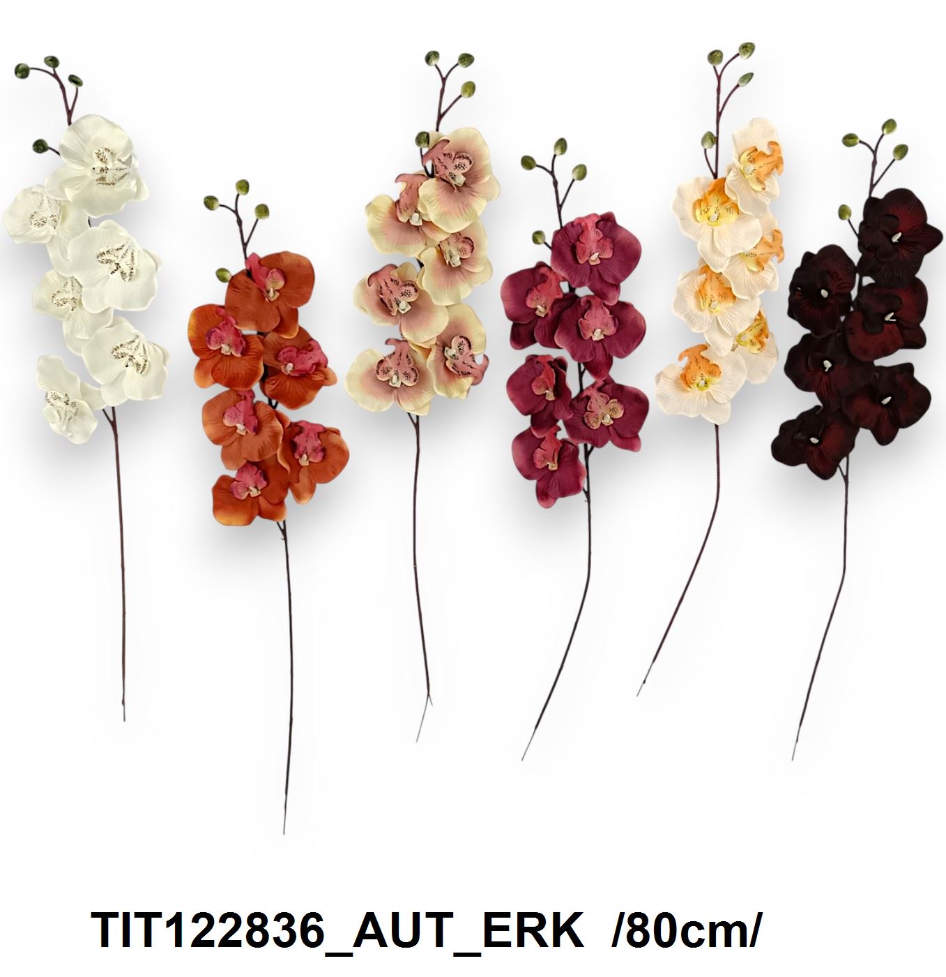 TIT122836_AUT_ERK