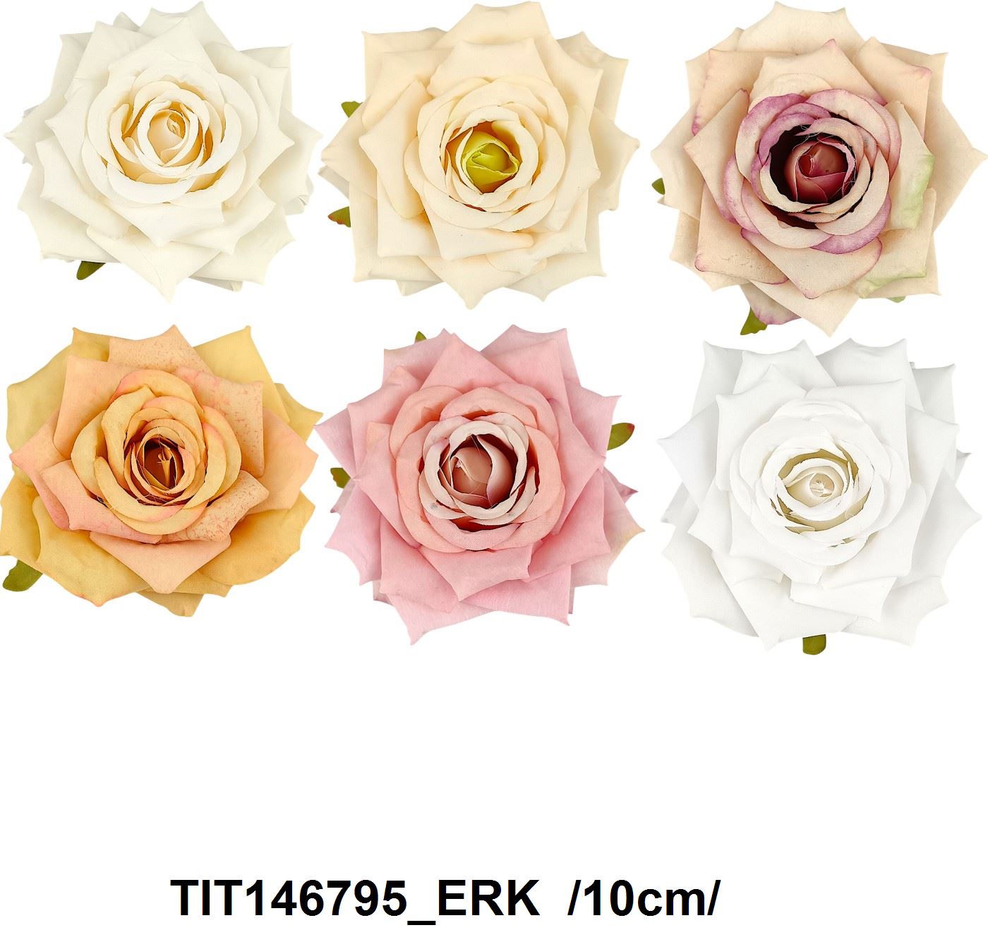 TIT146795_ERK