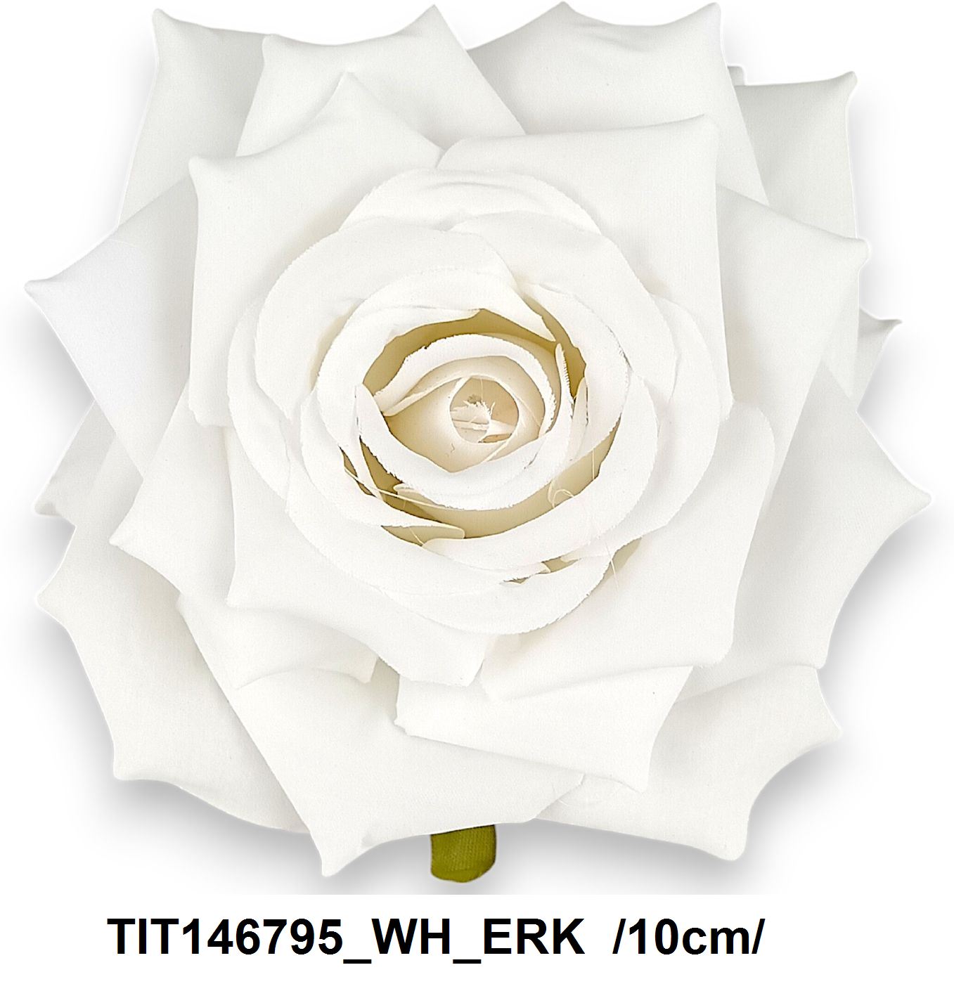 TIT146795_WH_ERK