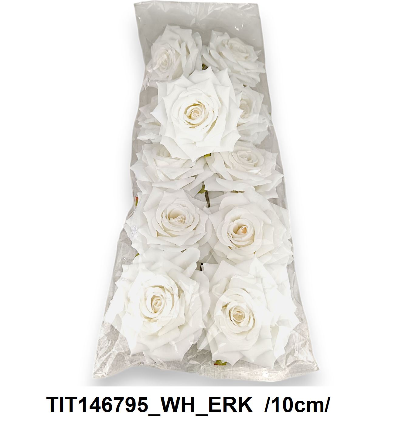 TIT146795_WH_ERK