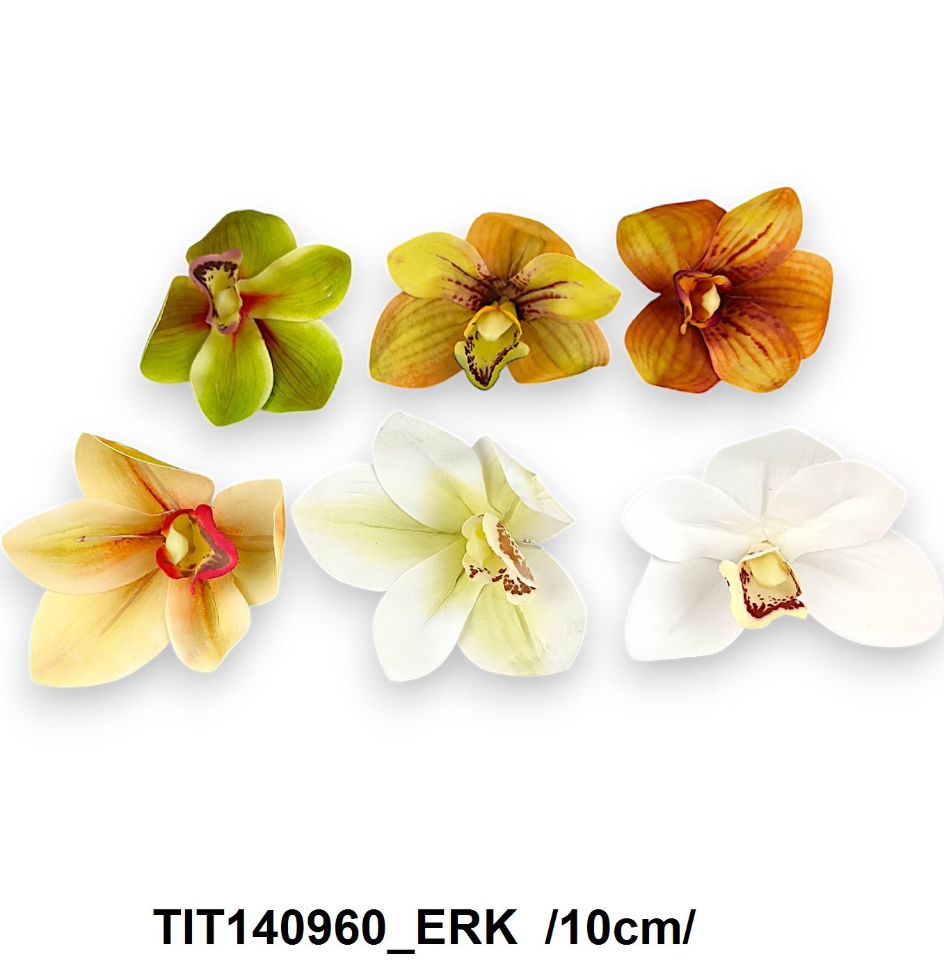 TIT140960_ERK
