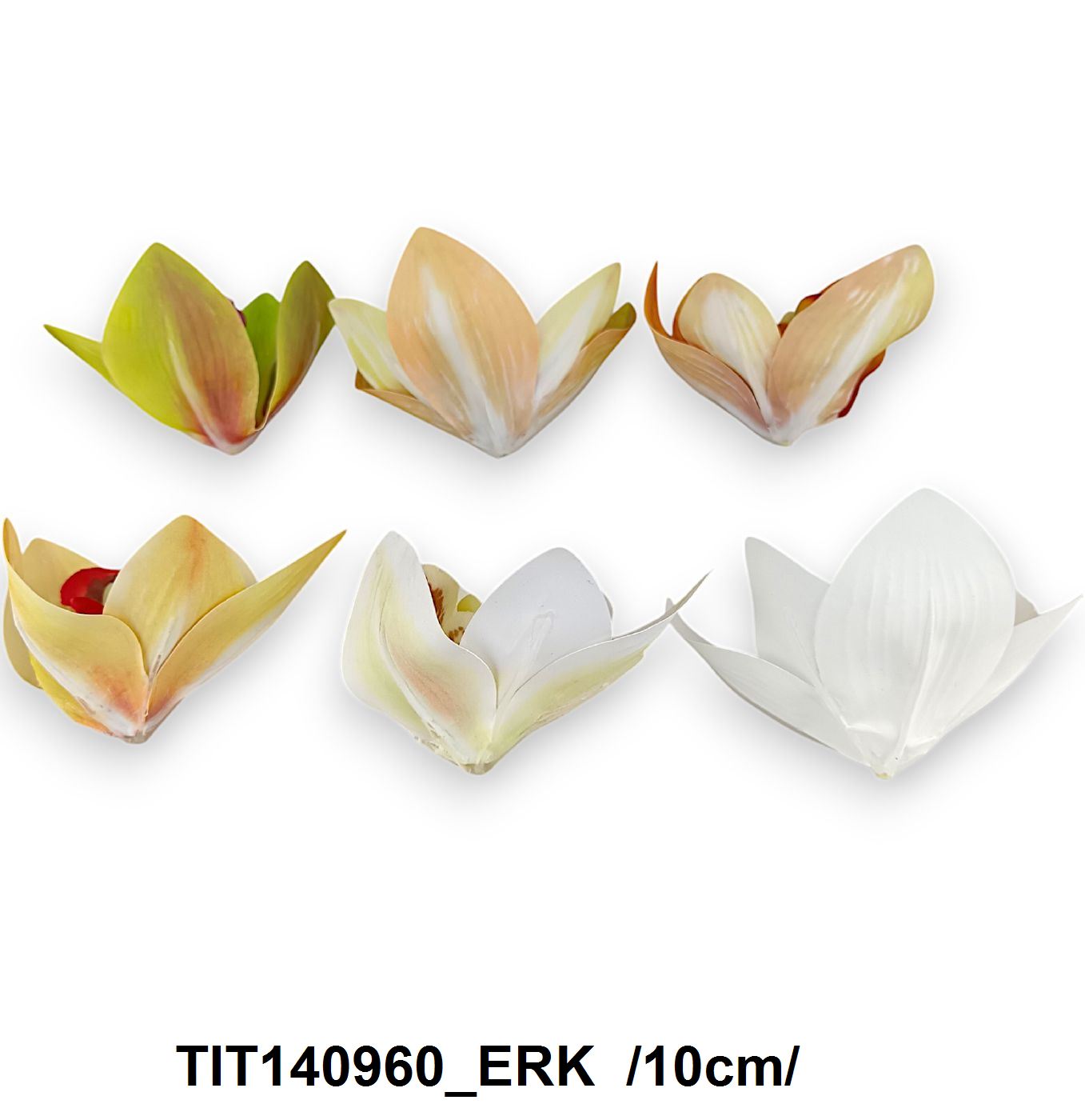 TIT140960_ERK