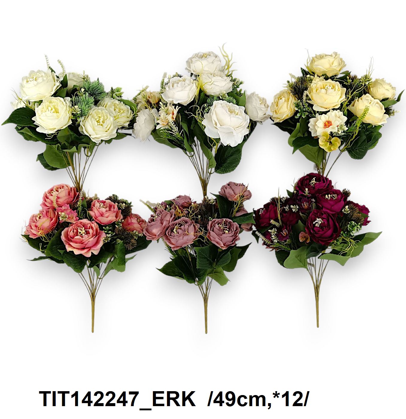 TIT142247_ERK