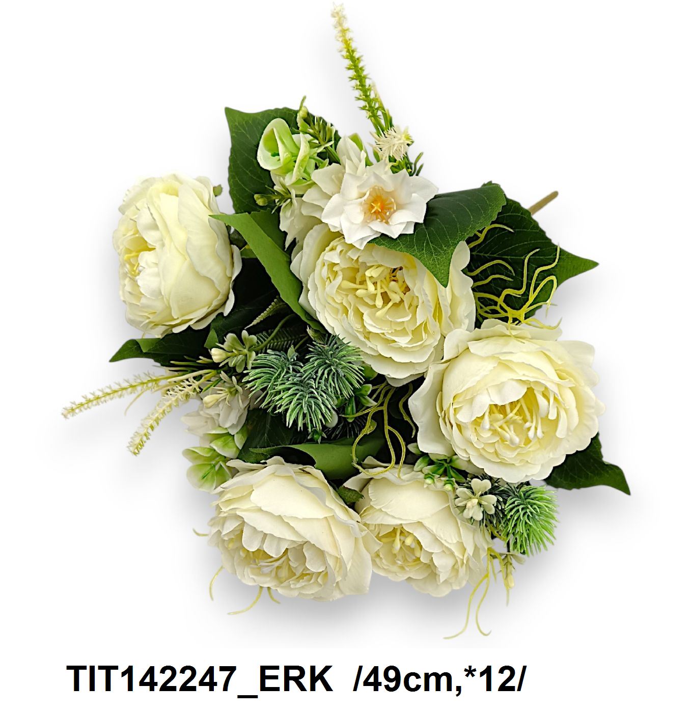 TIT142247_ERK